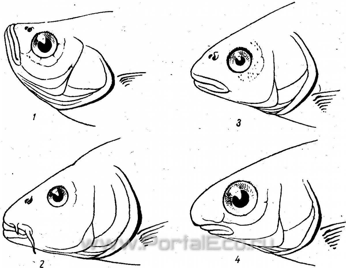 Жирная структура страницы раскраски рыбы
