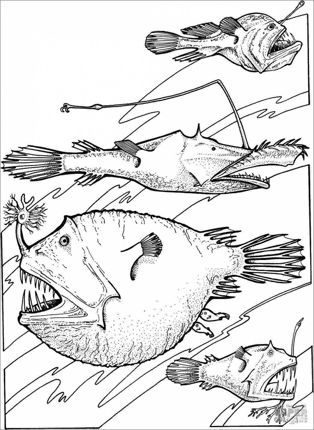 Radiant coloring page fish structure