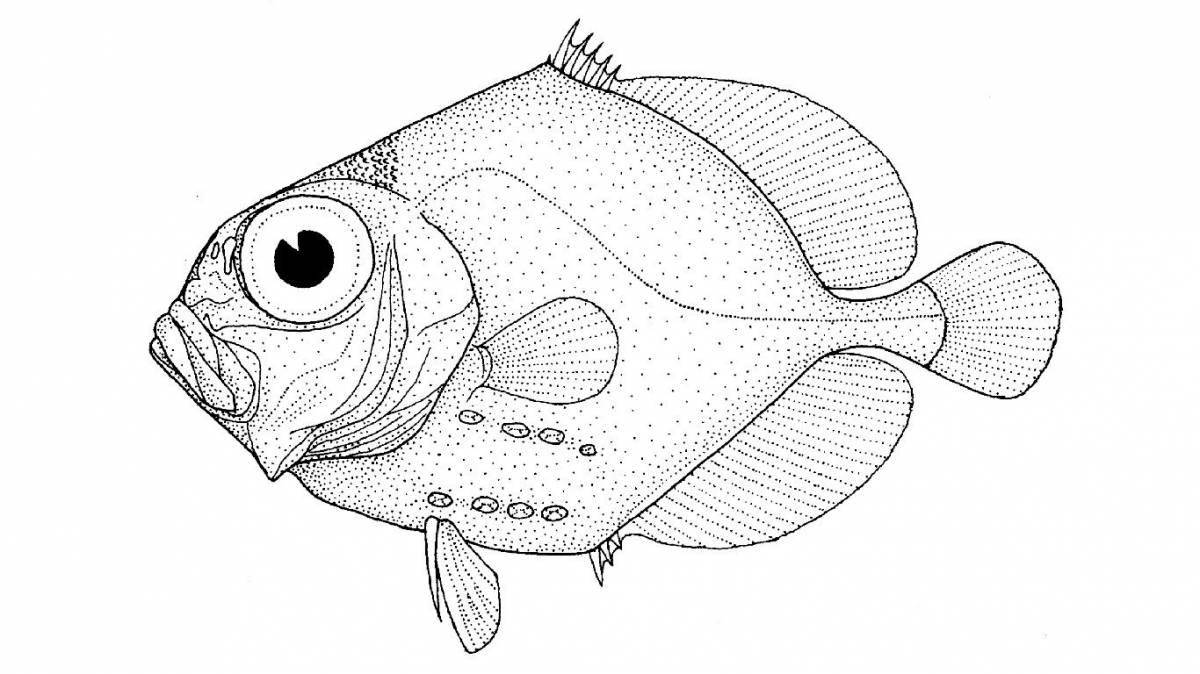 Безупречная структура раскраски рыбы
