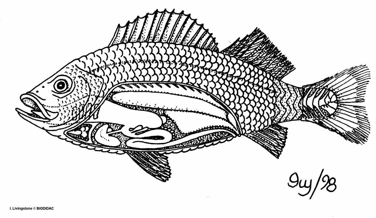 Необыкновенная структура раскраски рыбы