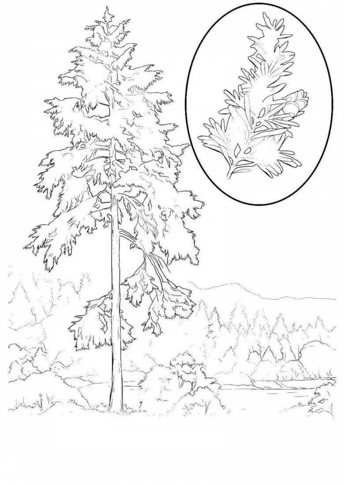 Adorable pine tree coloring page