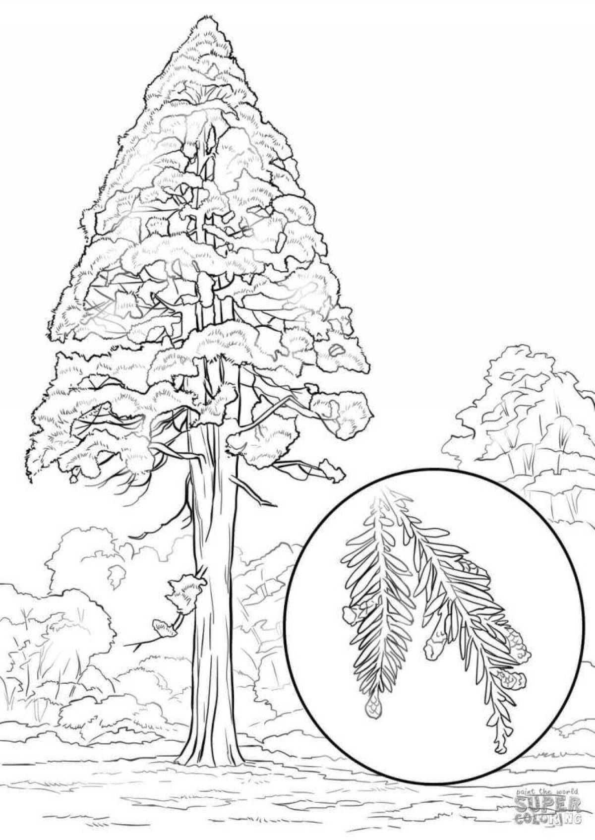 Glitter pine coloring book