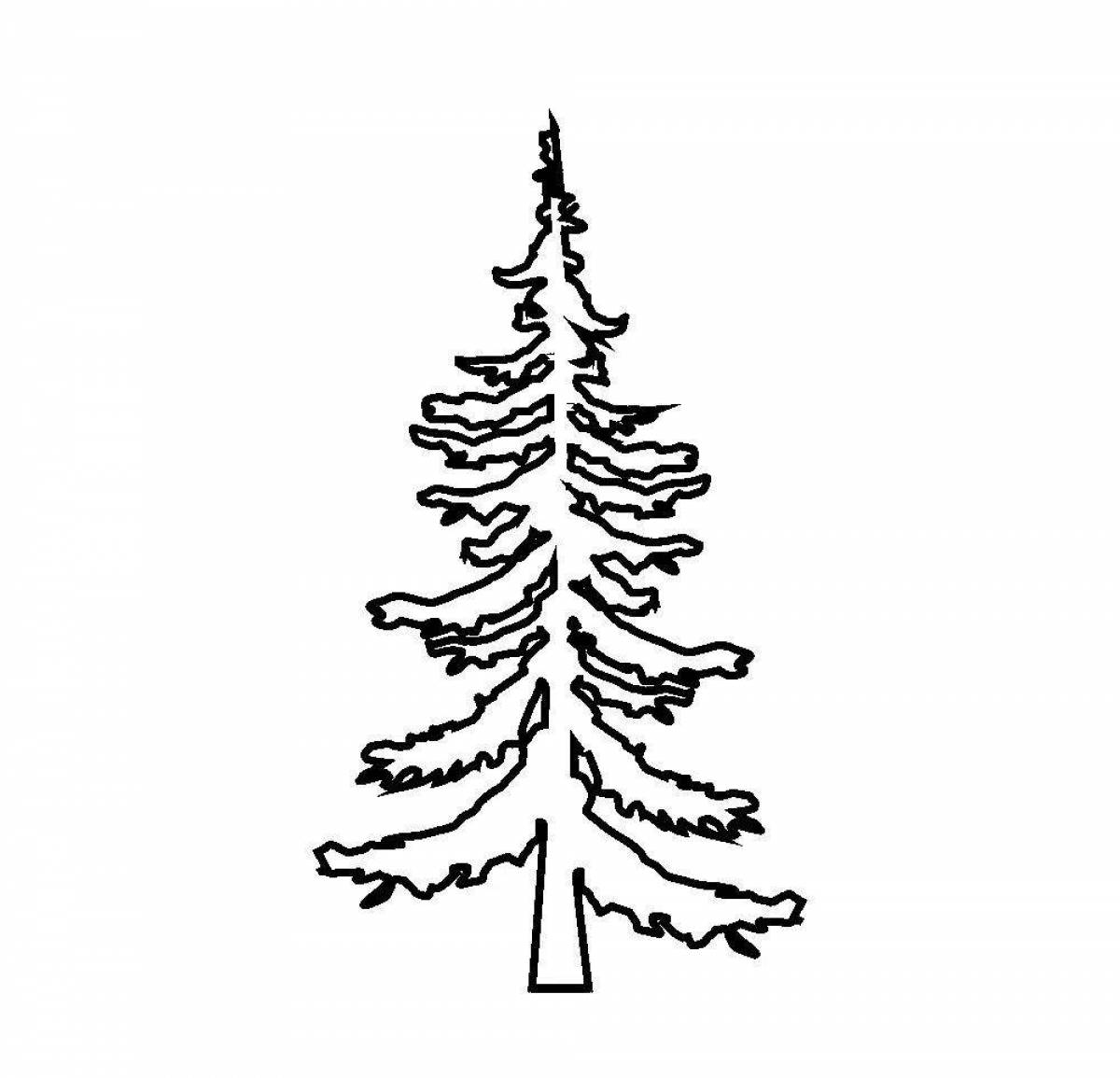 Amazing pine tree coloring page