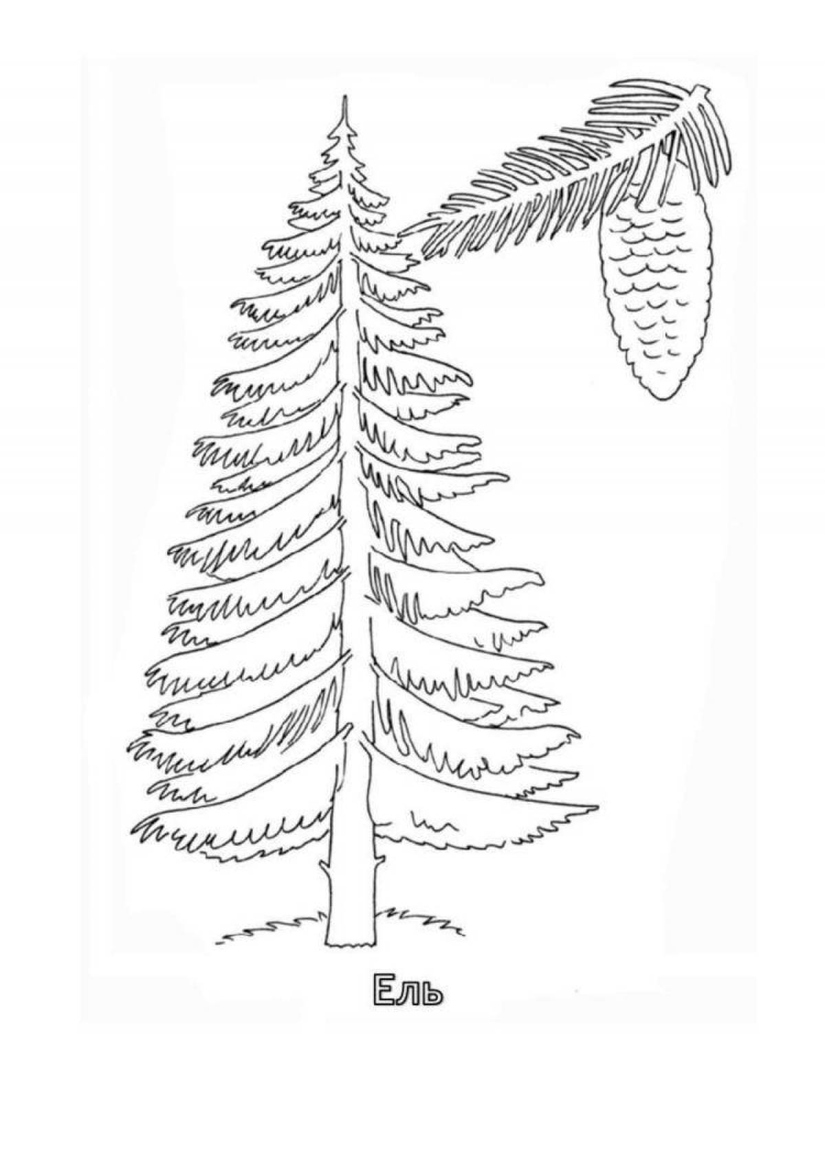 Glowing pine tree coloring page