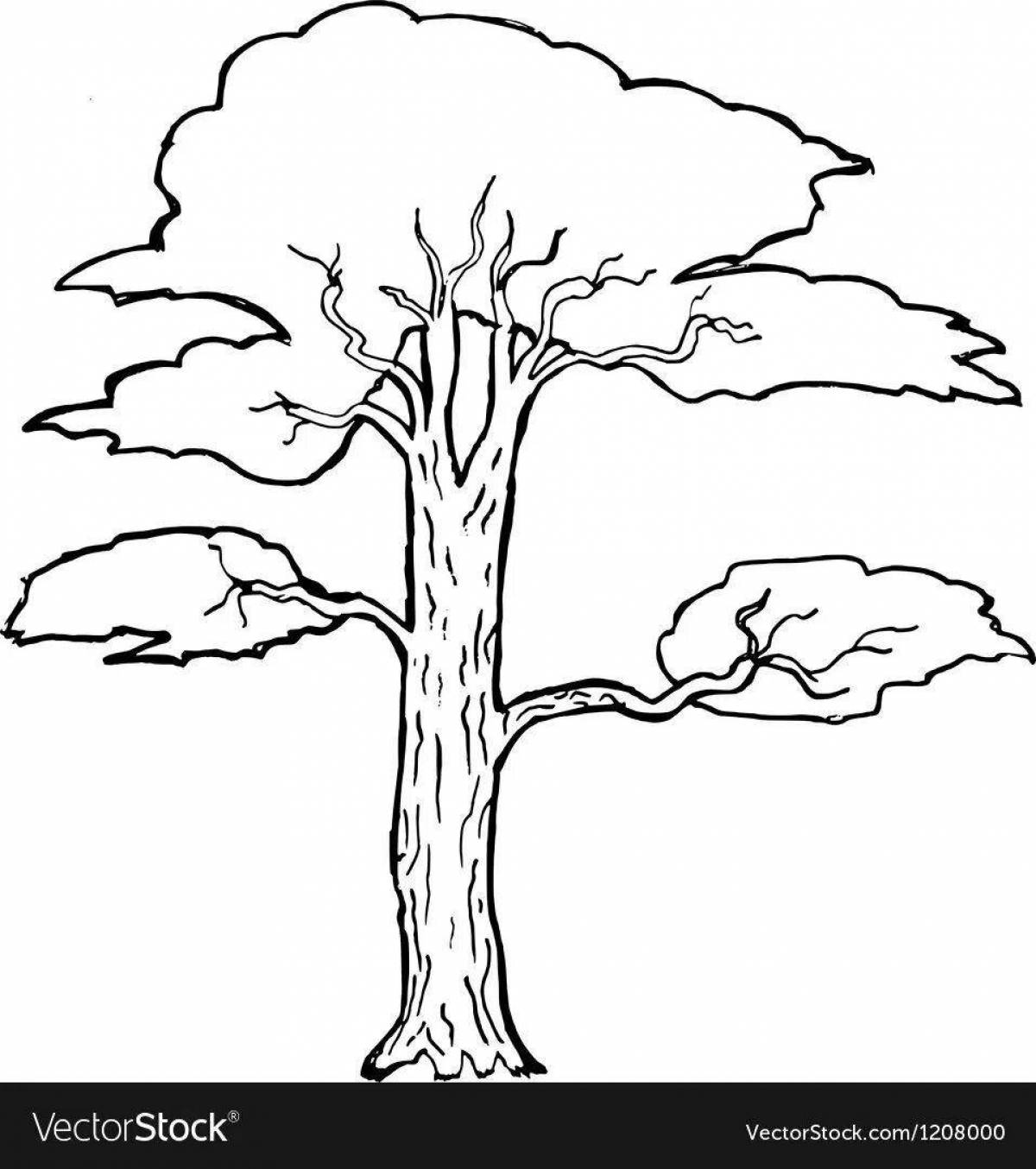 Сосна дерево #2