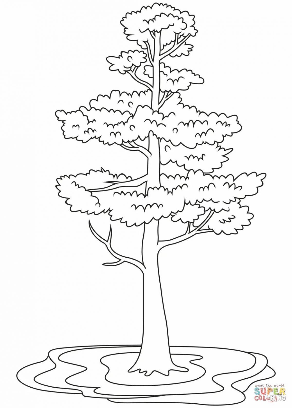 Сосна дерево #11