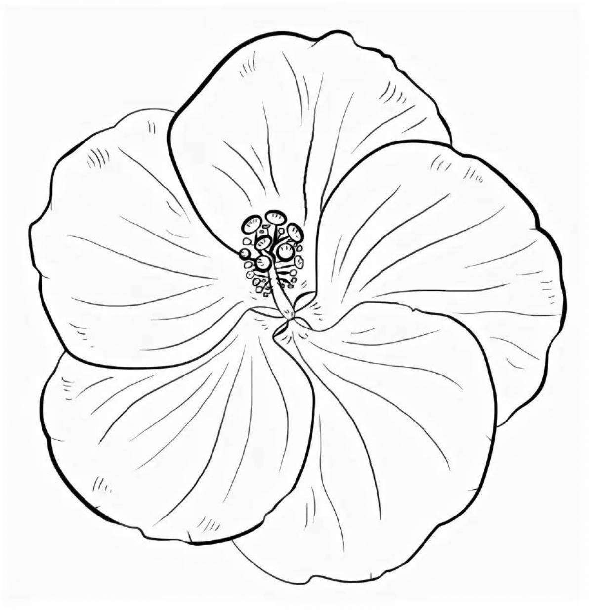Coloring page gorgeous purple flower