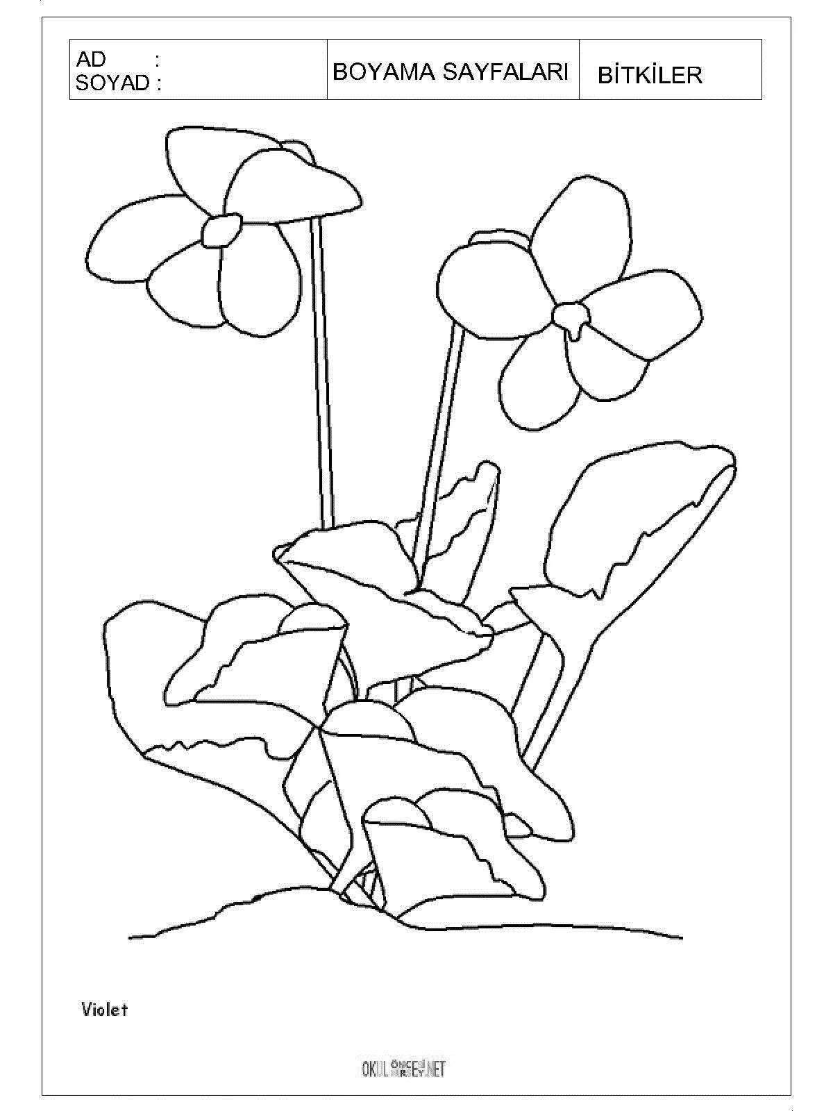 Shiny purple flower coloring book