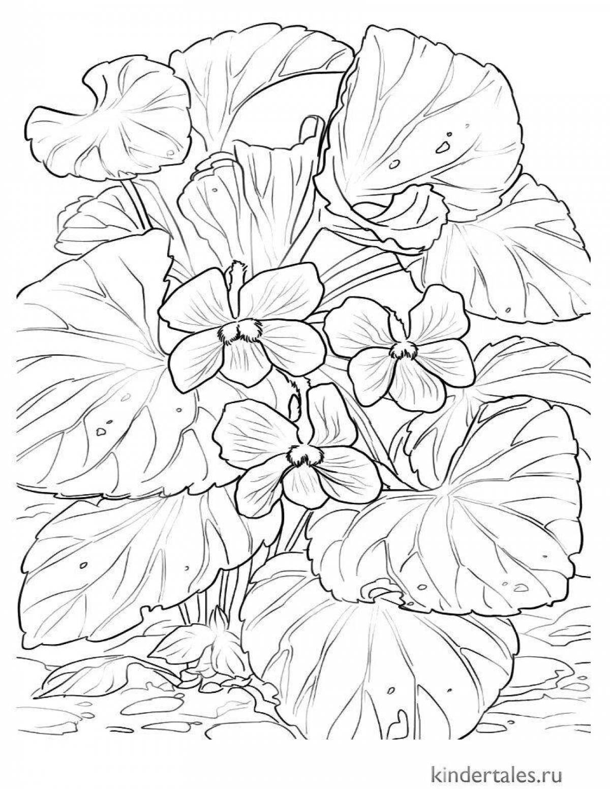 Playful purple flower coloring page