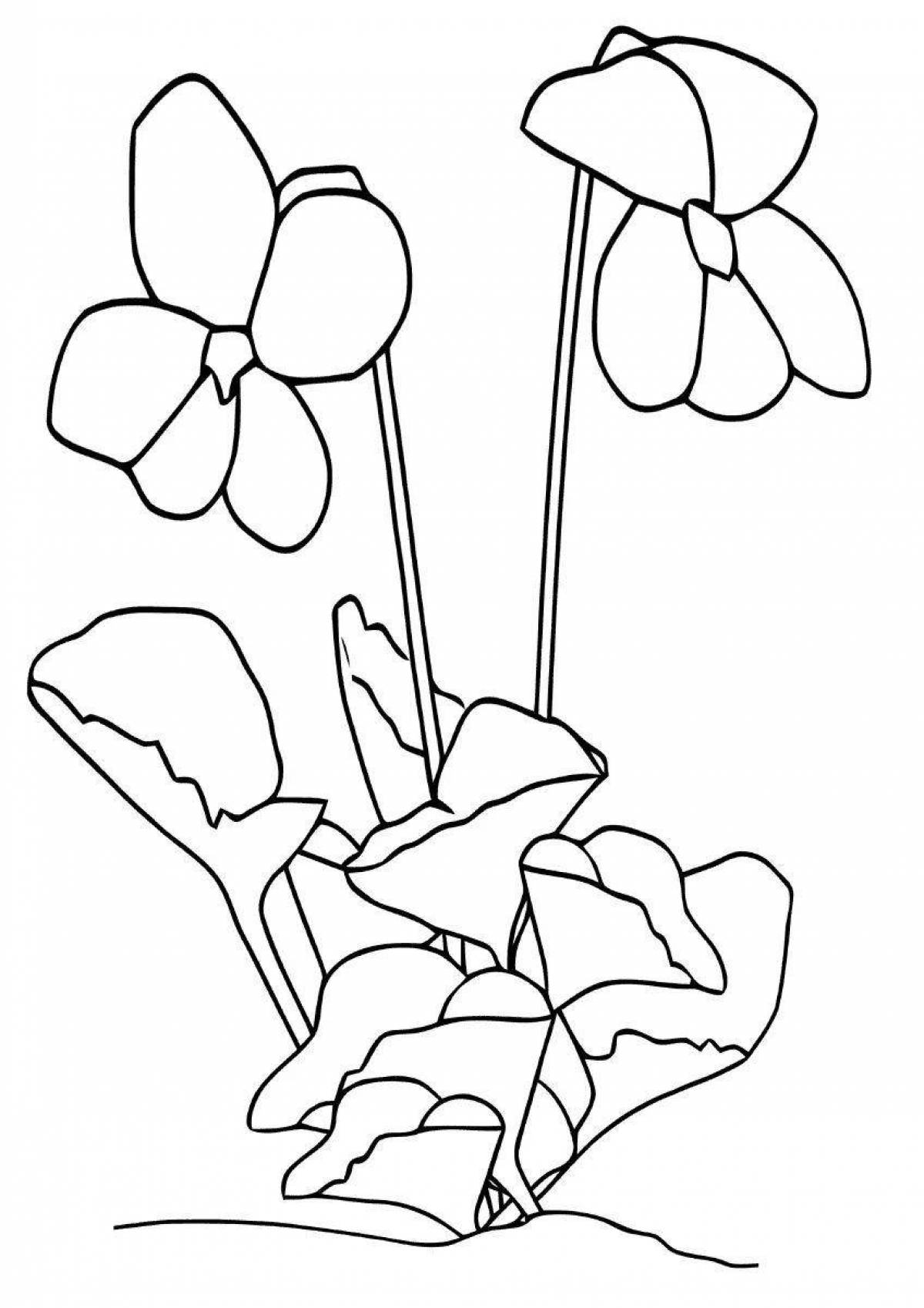 Coloring page cheerful purple flower