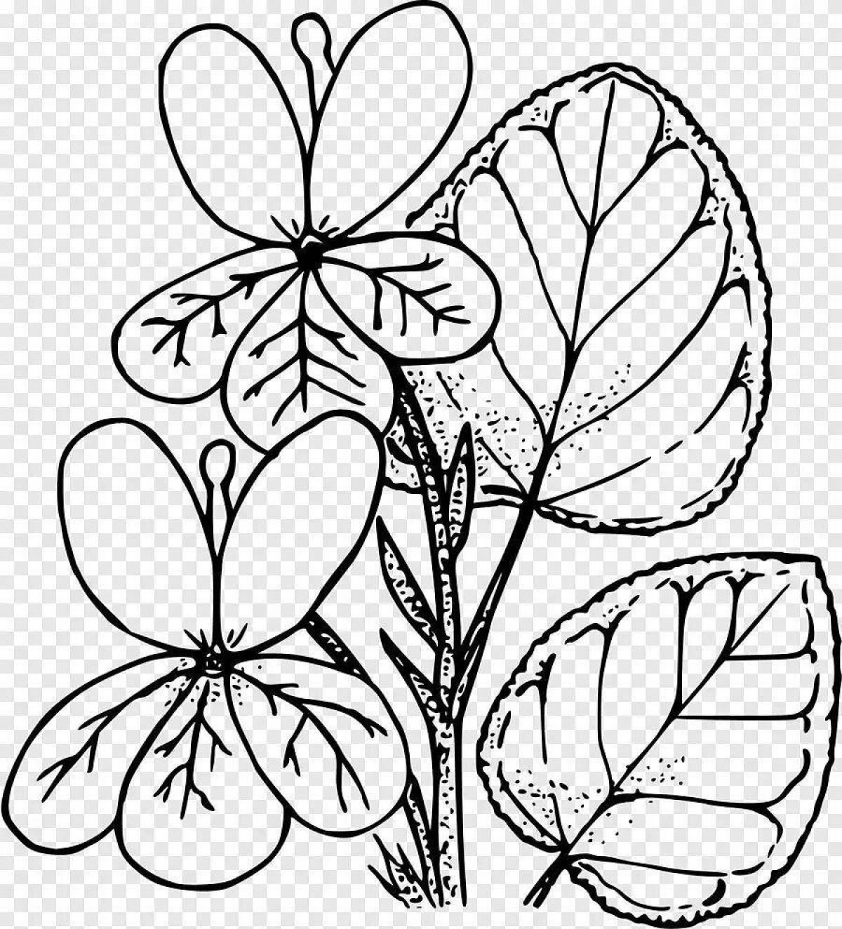 Refreshing purple flower coloring page