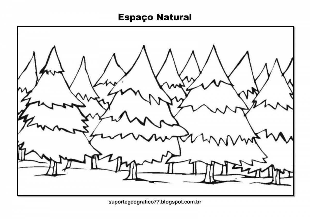 Photo Bright coloring coniferous forest