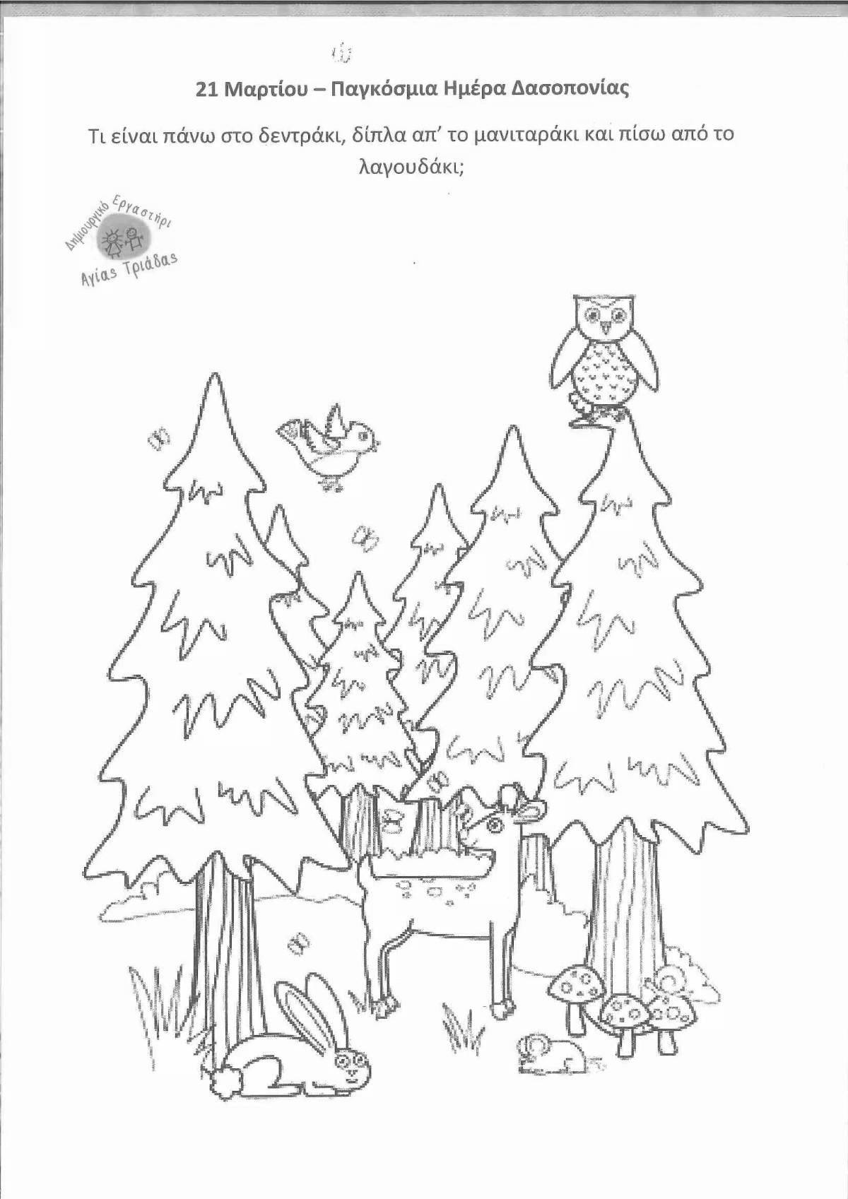 Coniferous forest amazing coloring book