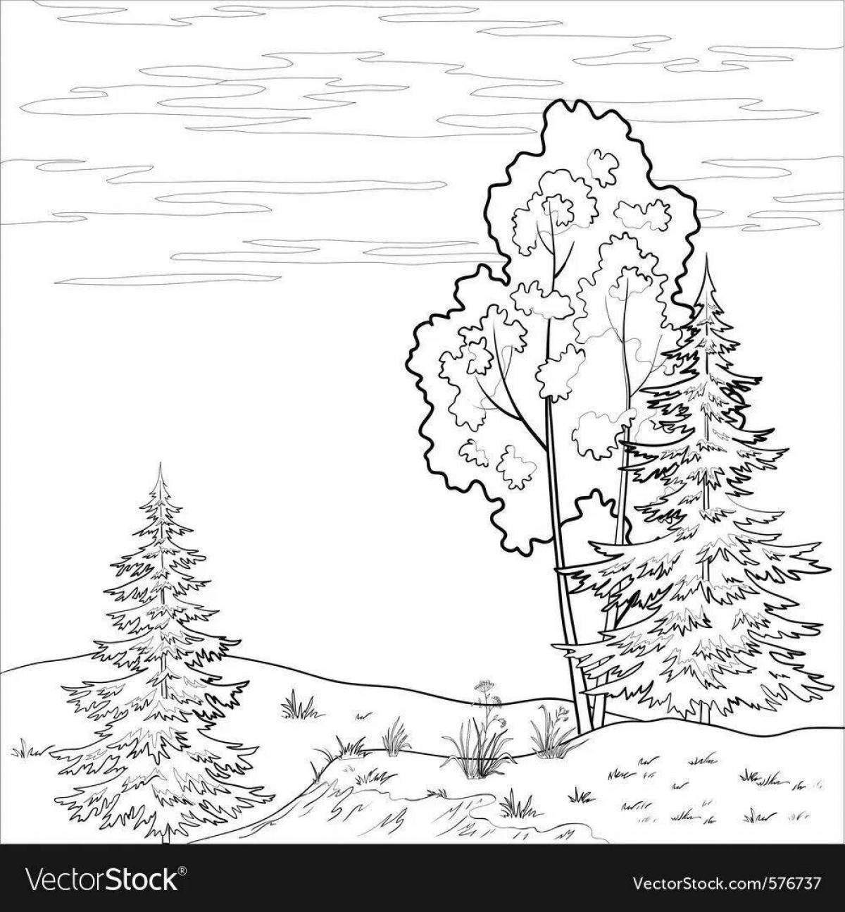 Living coloring coniferous forest