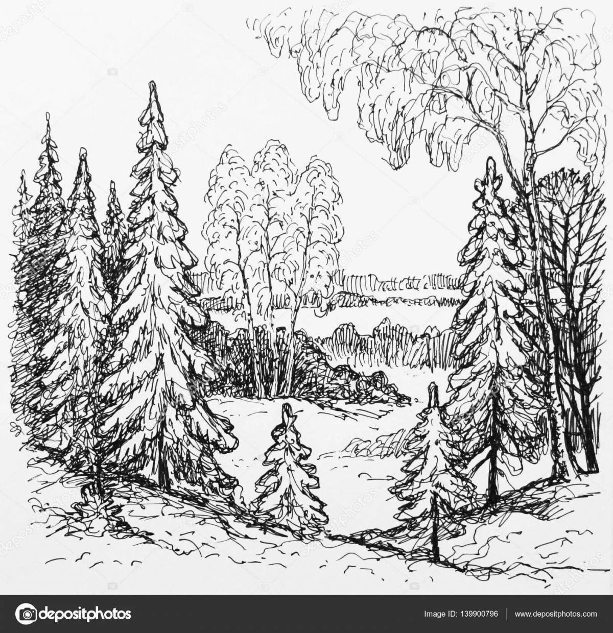 Photo Glitter coloring coniferous forest