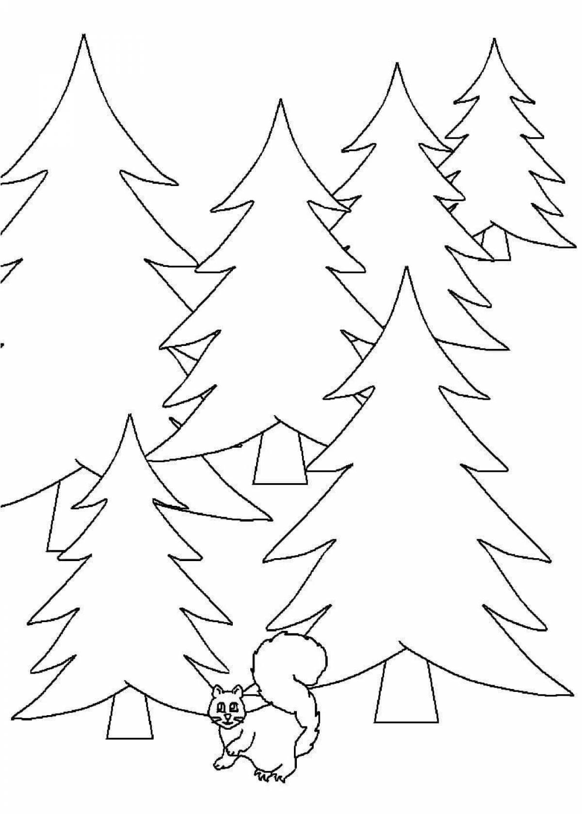 Amazing coniferous forest coloring book