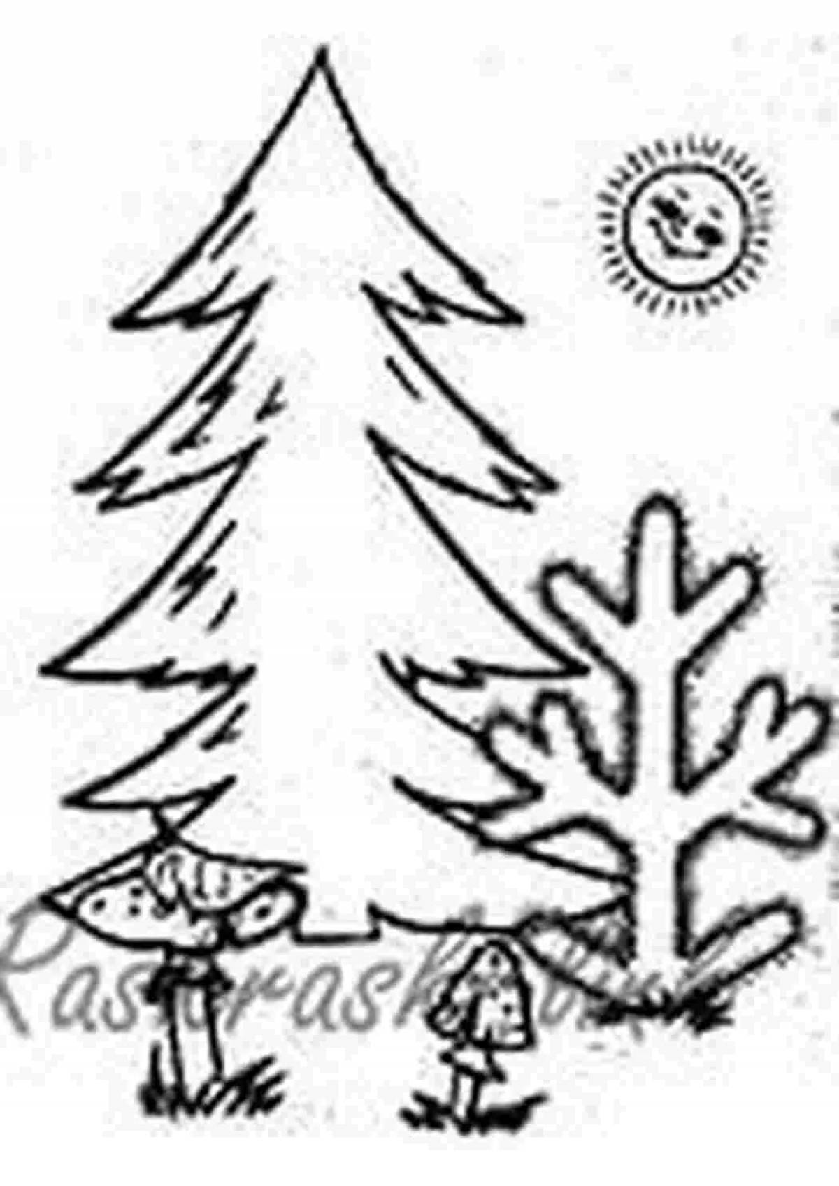 Photo Coniferous forest #6