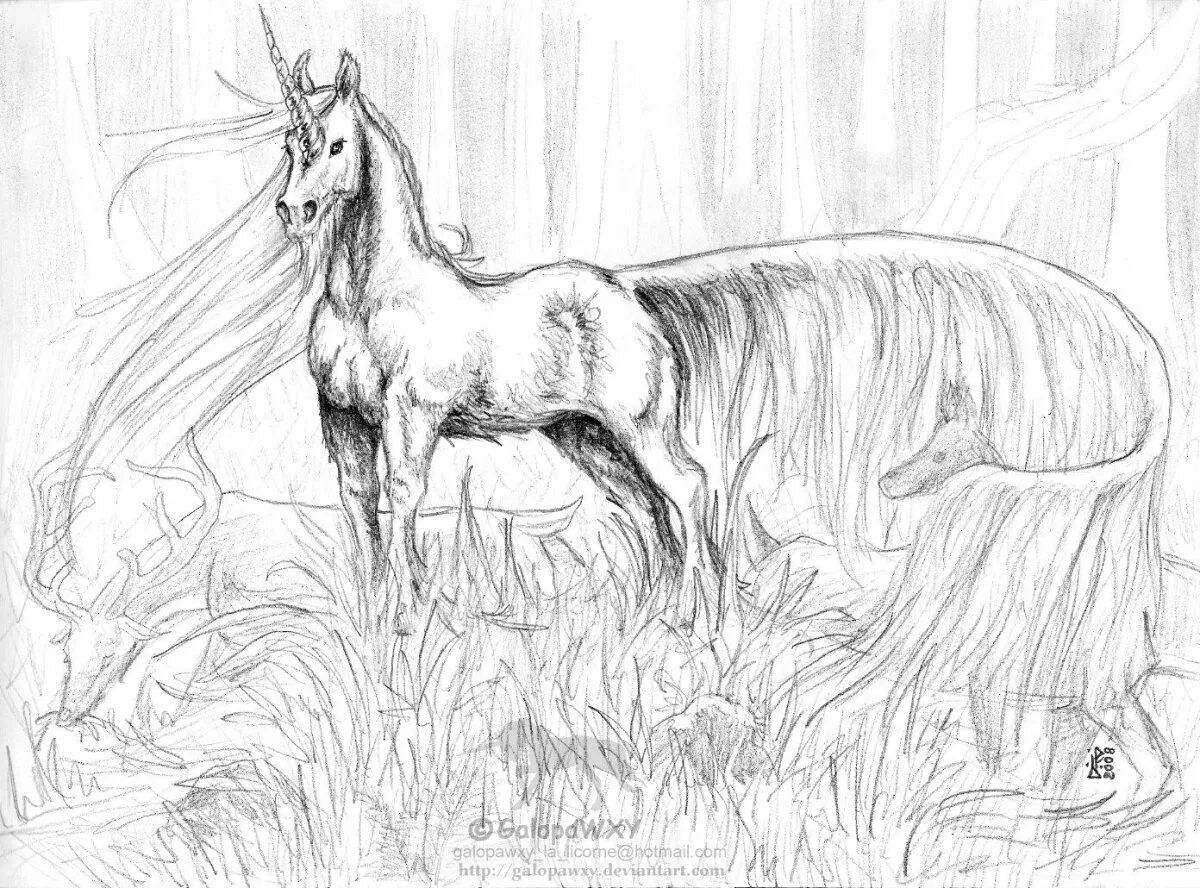 Exquisite unicorn horse coloring book