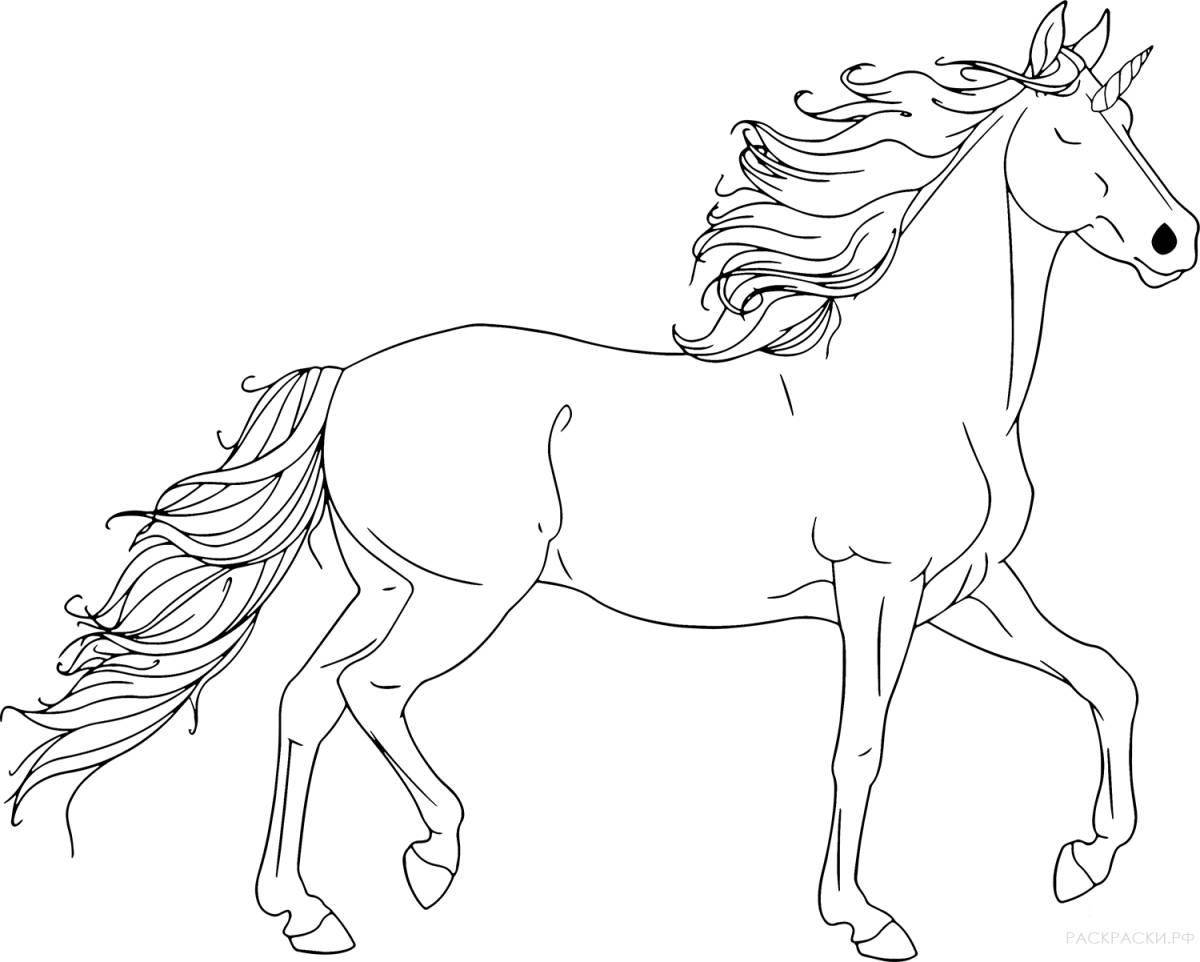 Luxury coloring horse unicorn