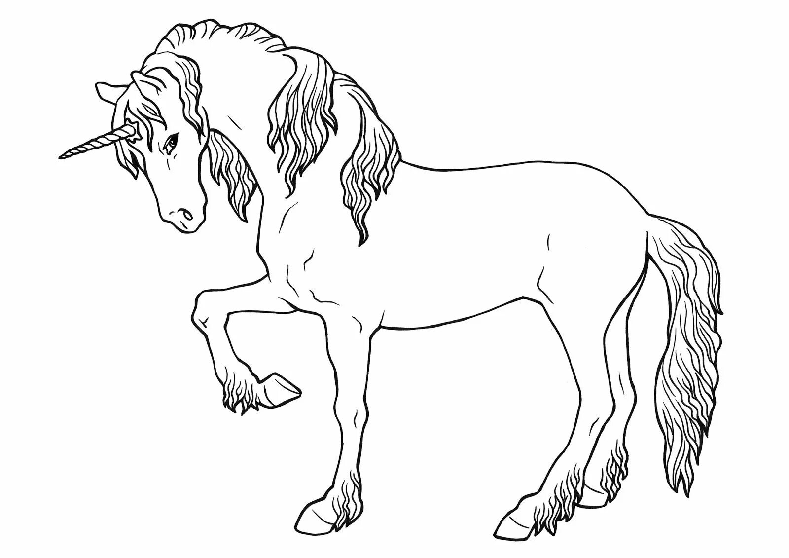Unicorn horse #2