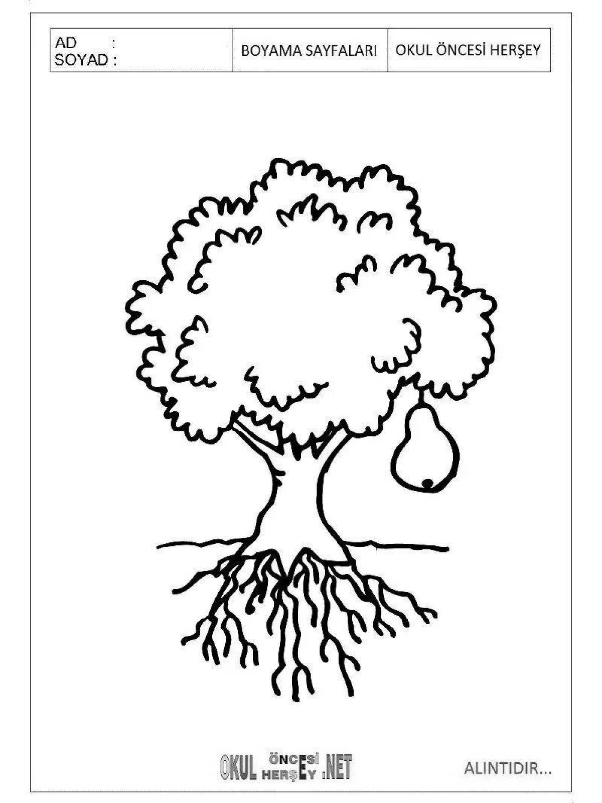 Colorful pear tree coloring page