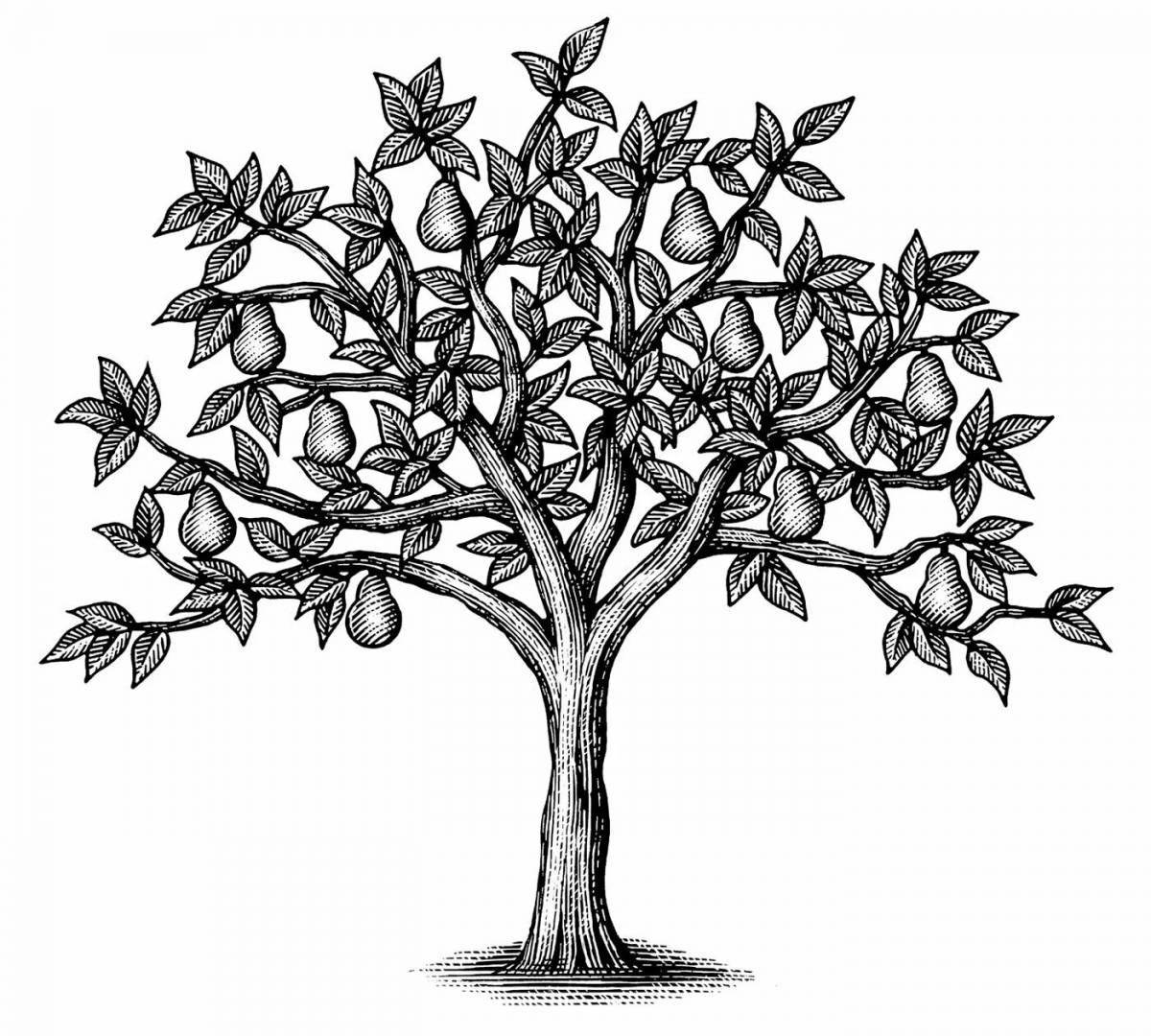 Playful pear tree coloring page