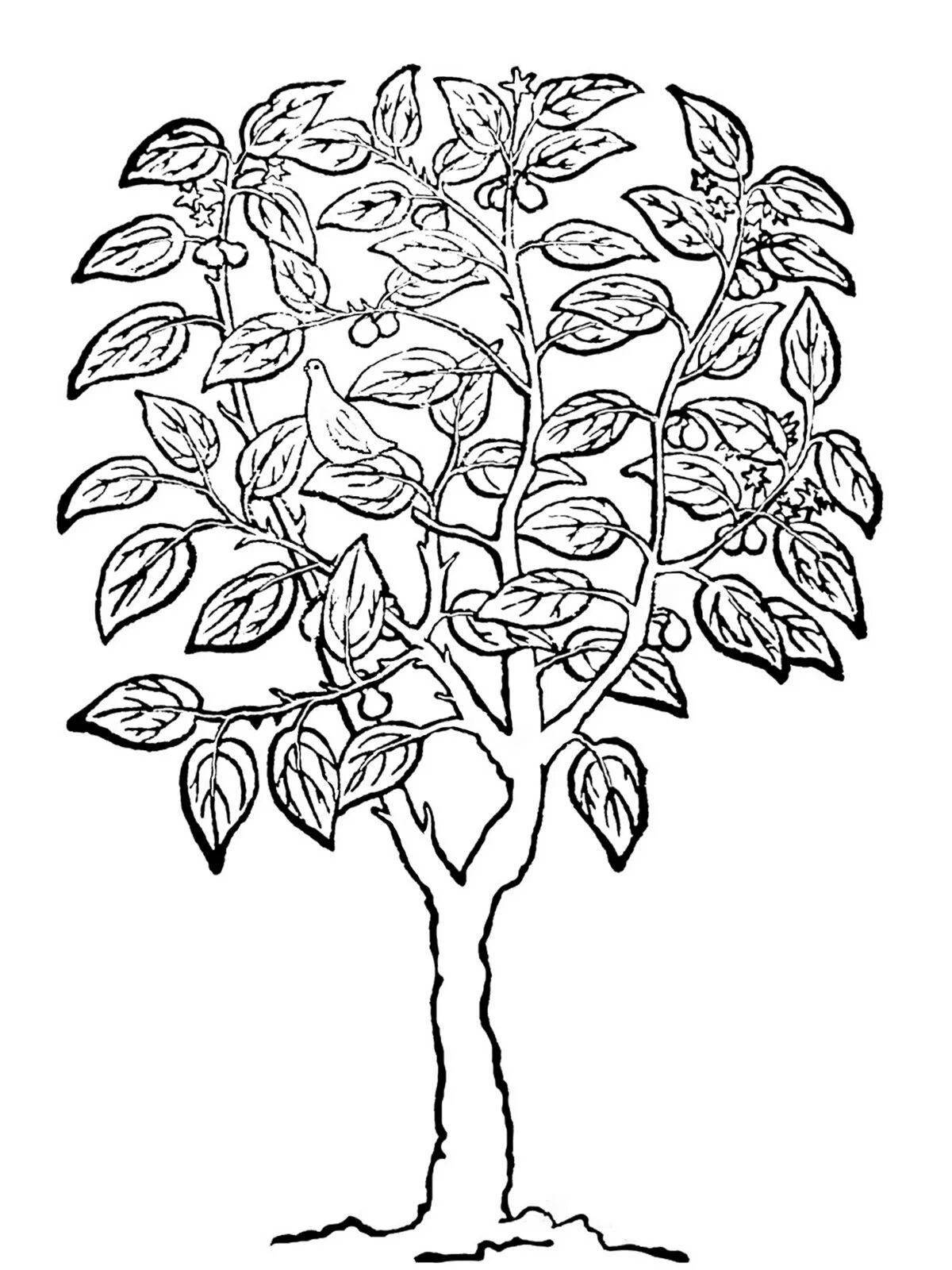 Glowing pear coloring page