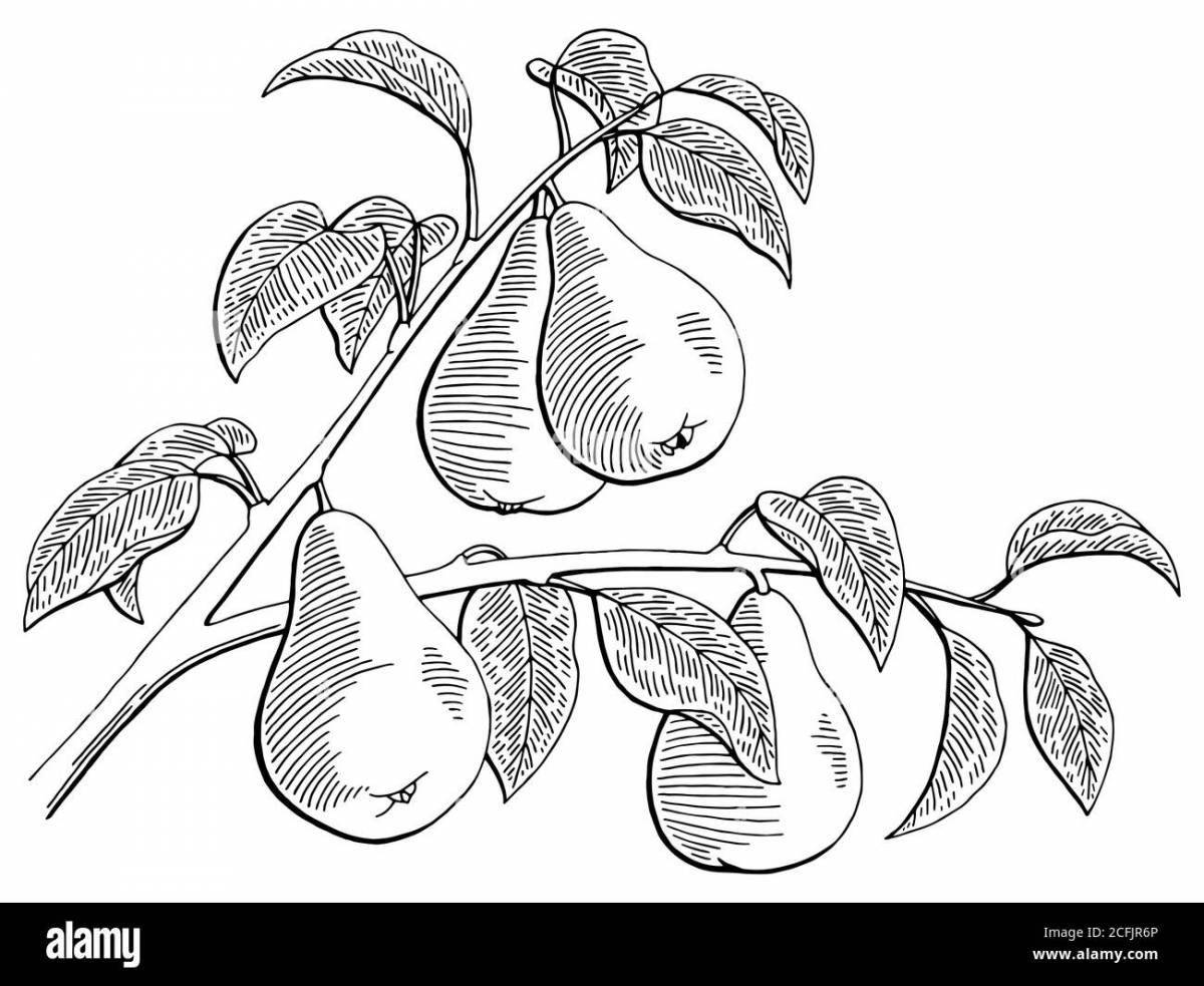Coloring page gorgeous pear