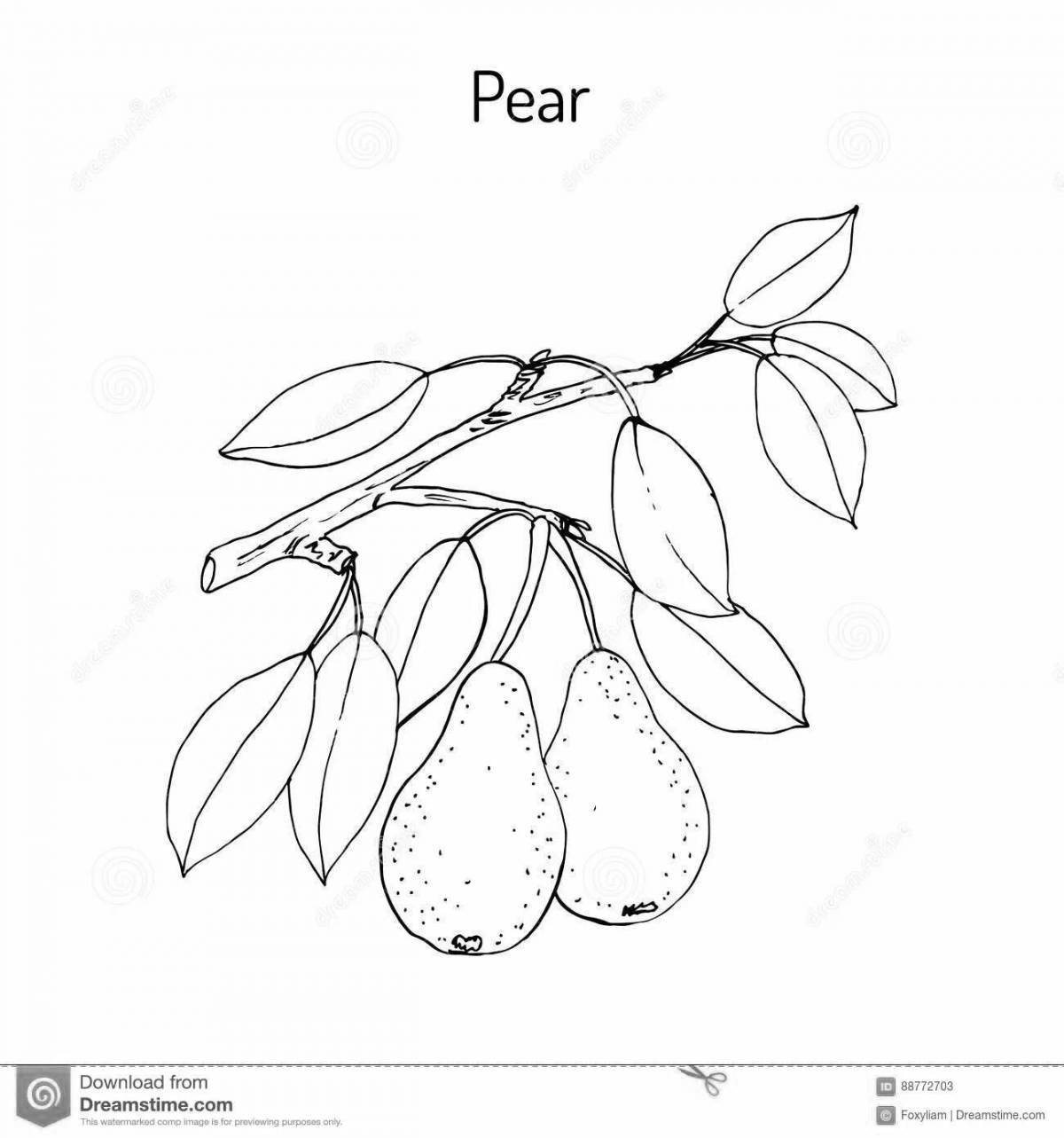 Coloring page enthusiastic pear tree