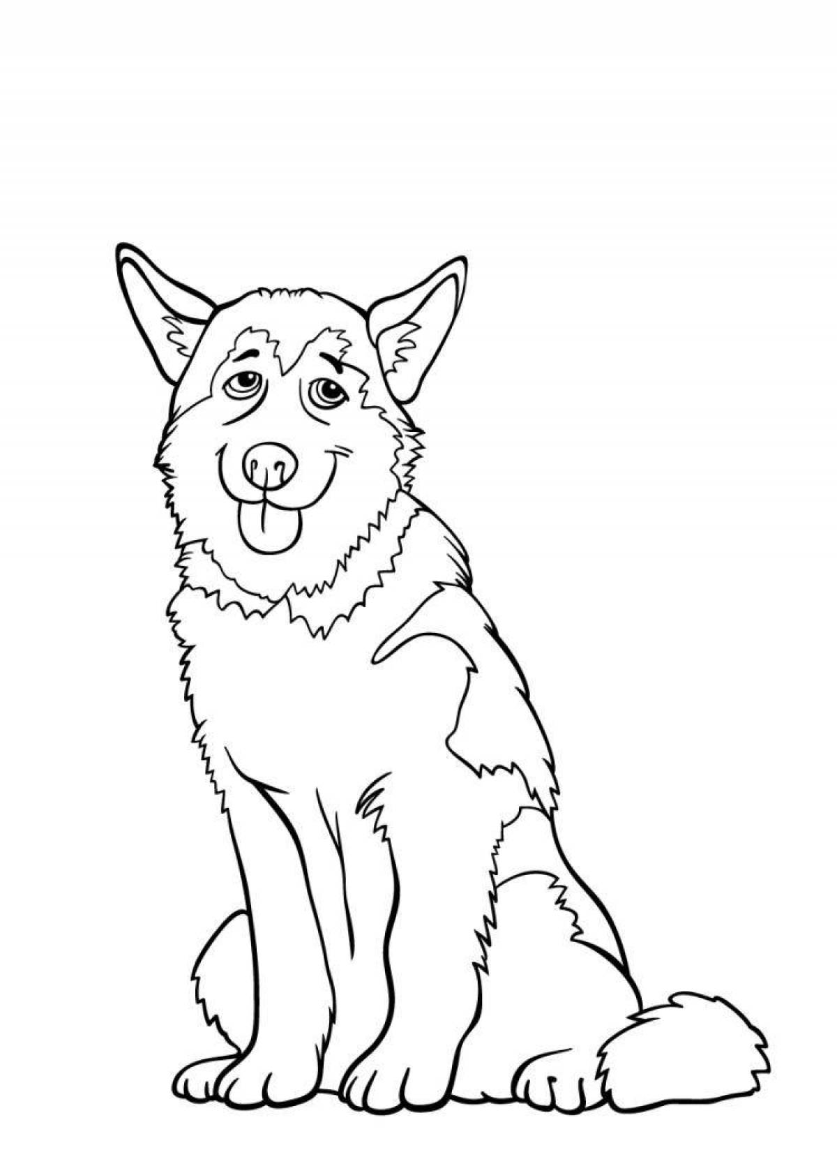 Adorable husky coloring book