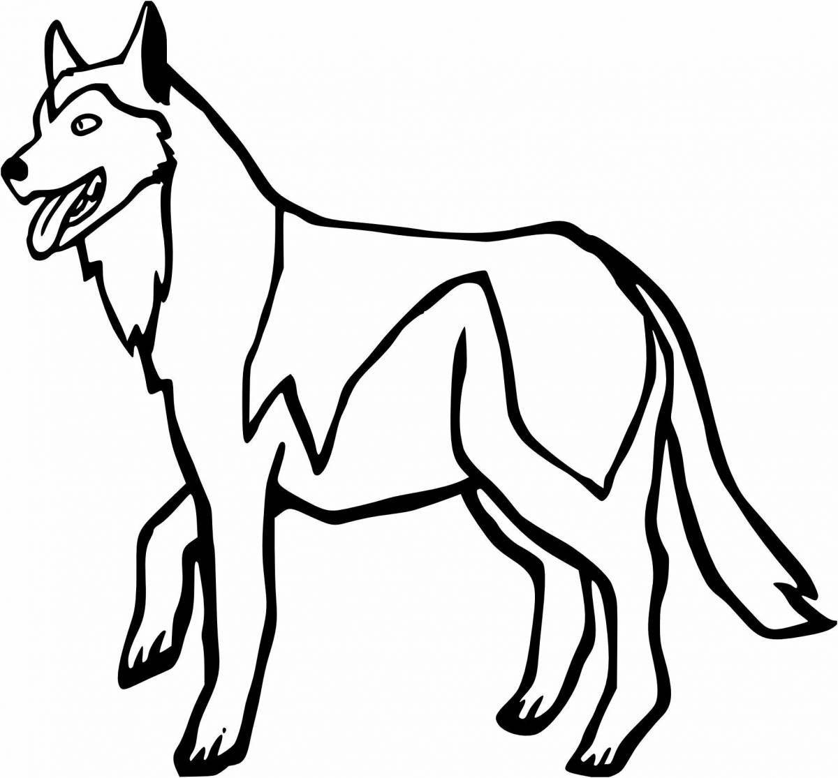 Husky fluffy coloring book