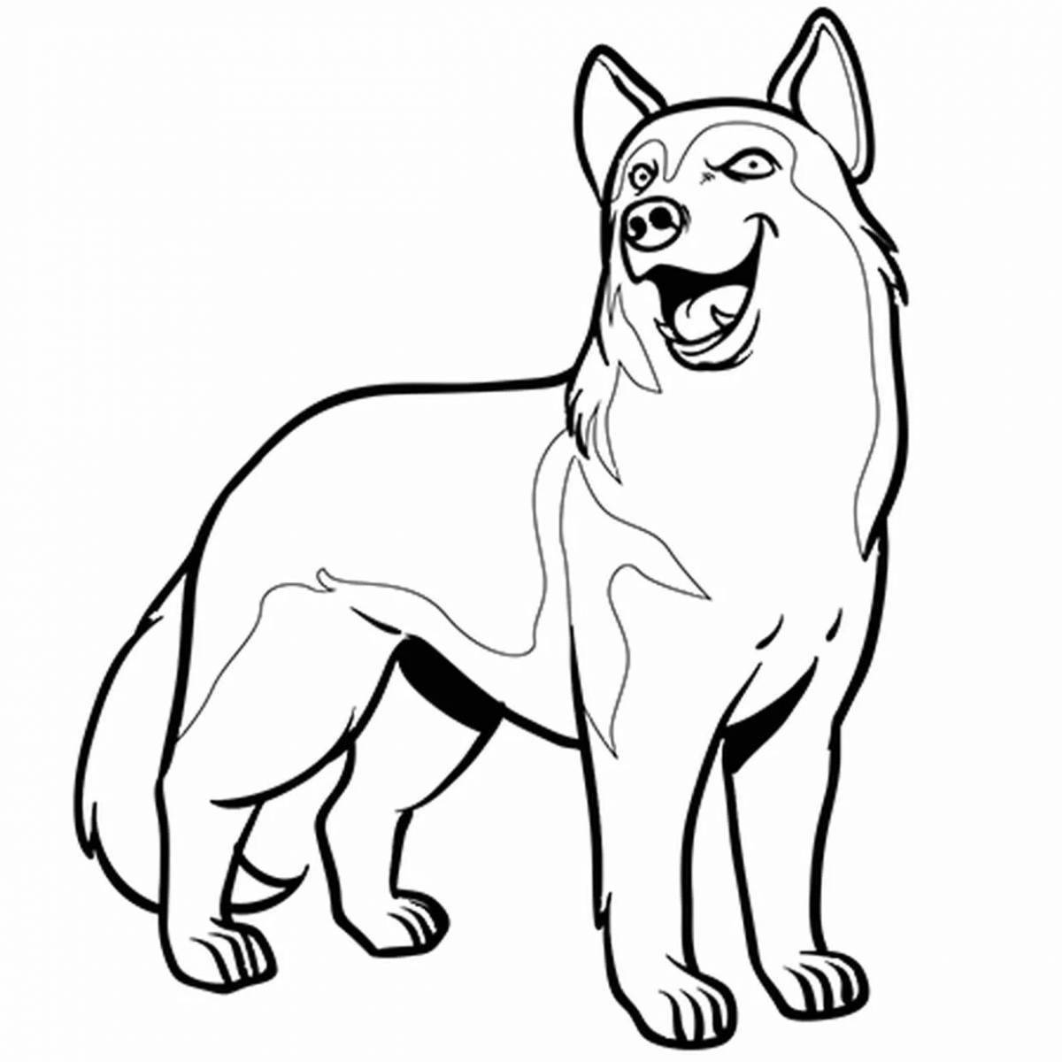Husky friendly coloring book