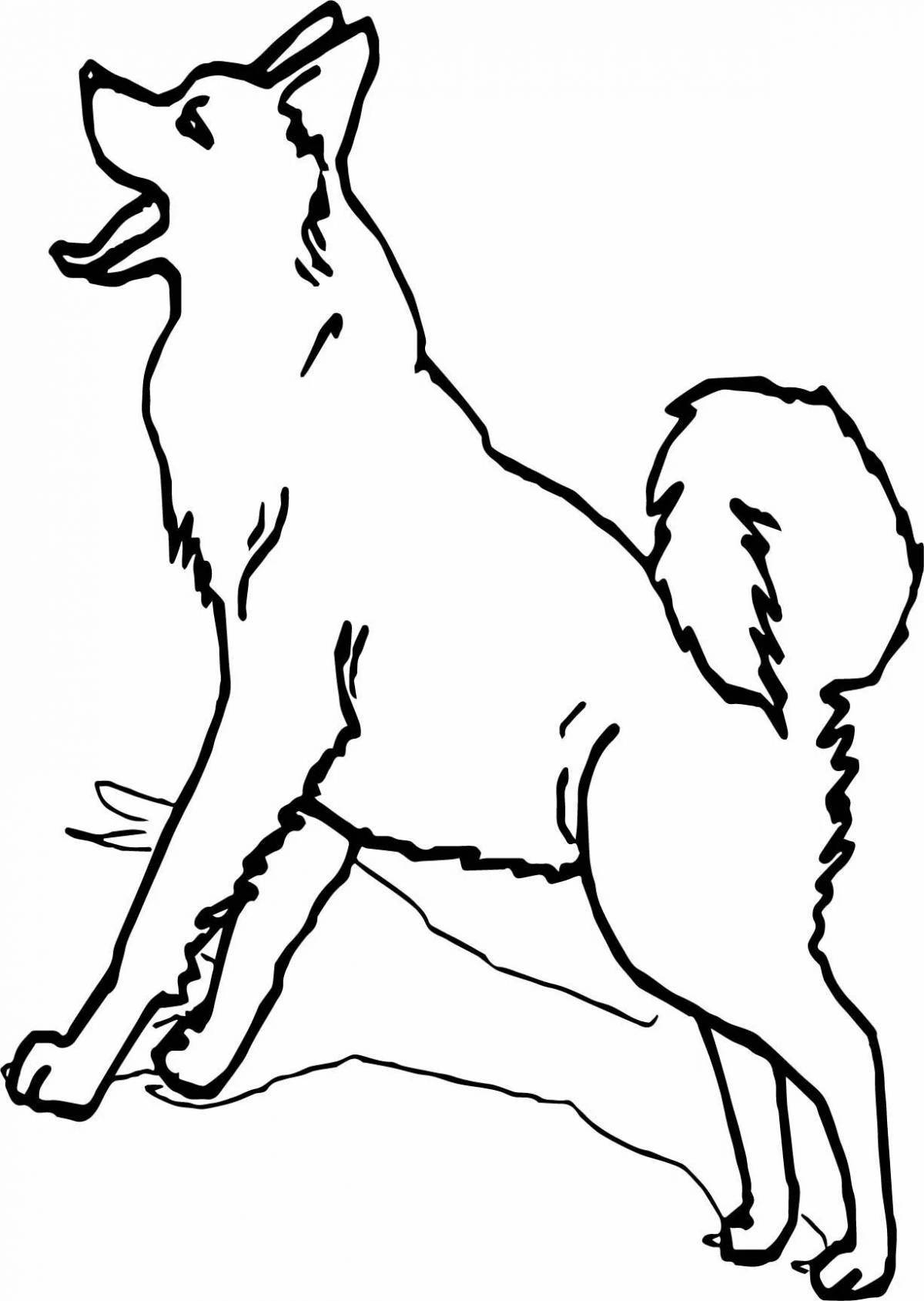 Naughty husky coloring book