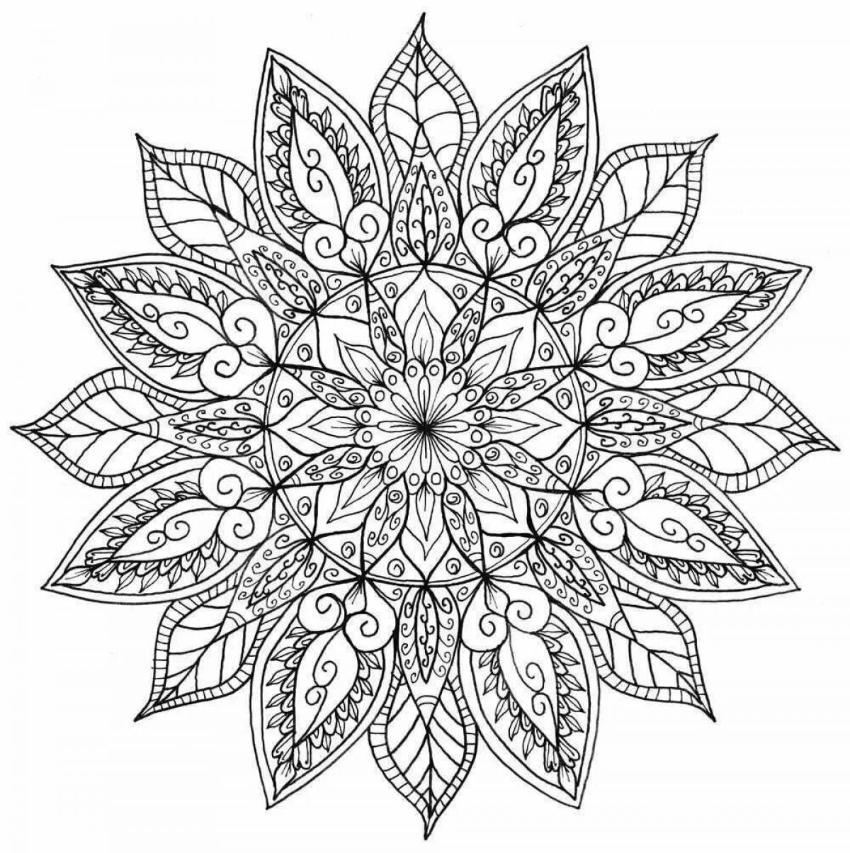 Majestic coloring beautiful mandalas