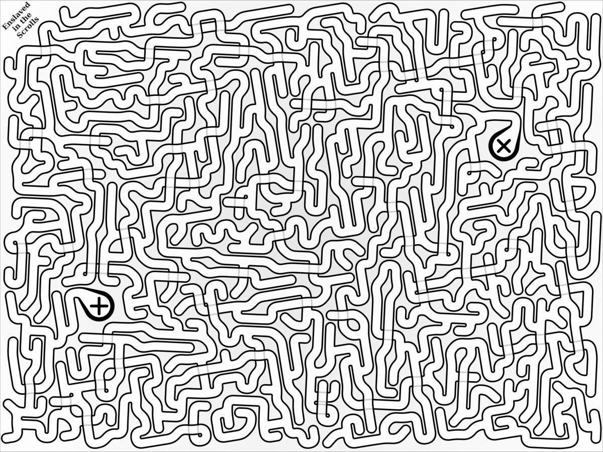 Delightful coloring maze antistress
