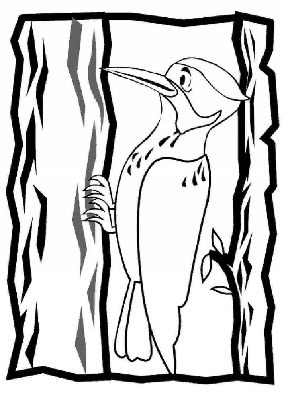 Coloring fat woodpecker