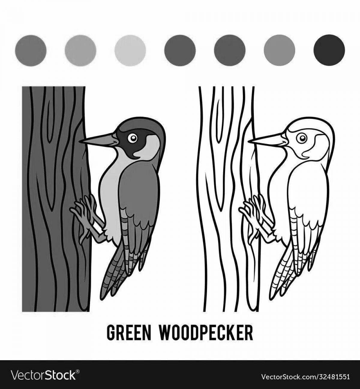 Coloring book attractive figurine woodpecker