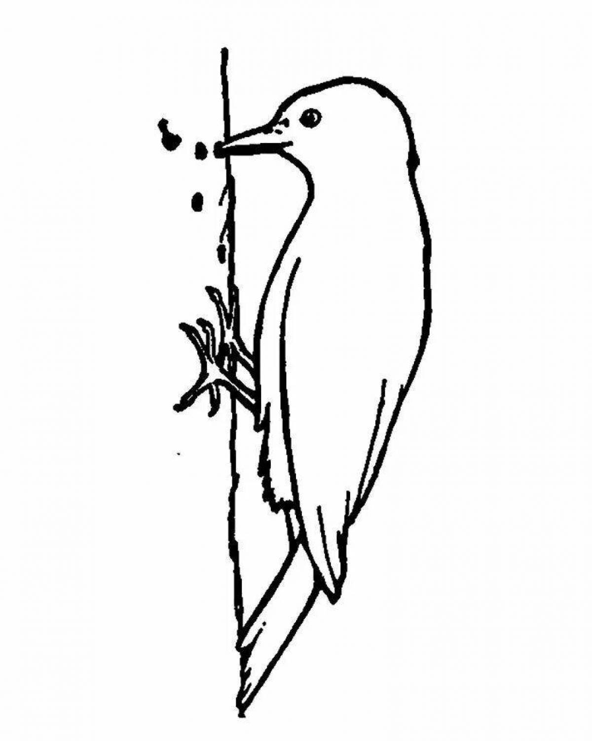 Coloring book figurine of a woodpecker