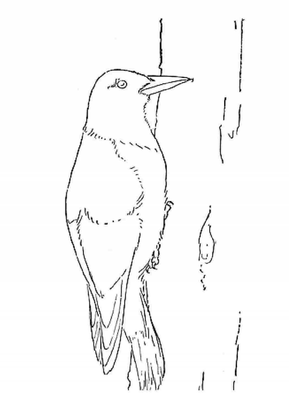 Coloring book shiny figurine woodpecker