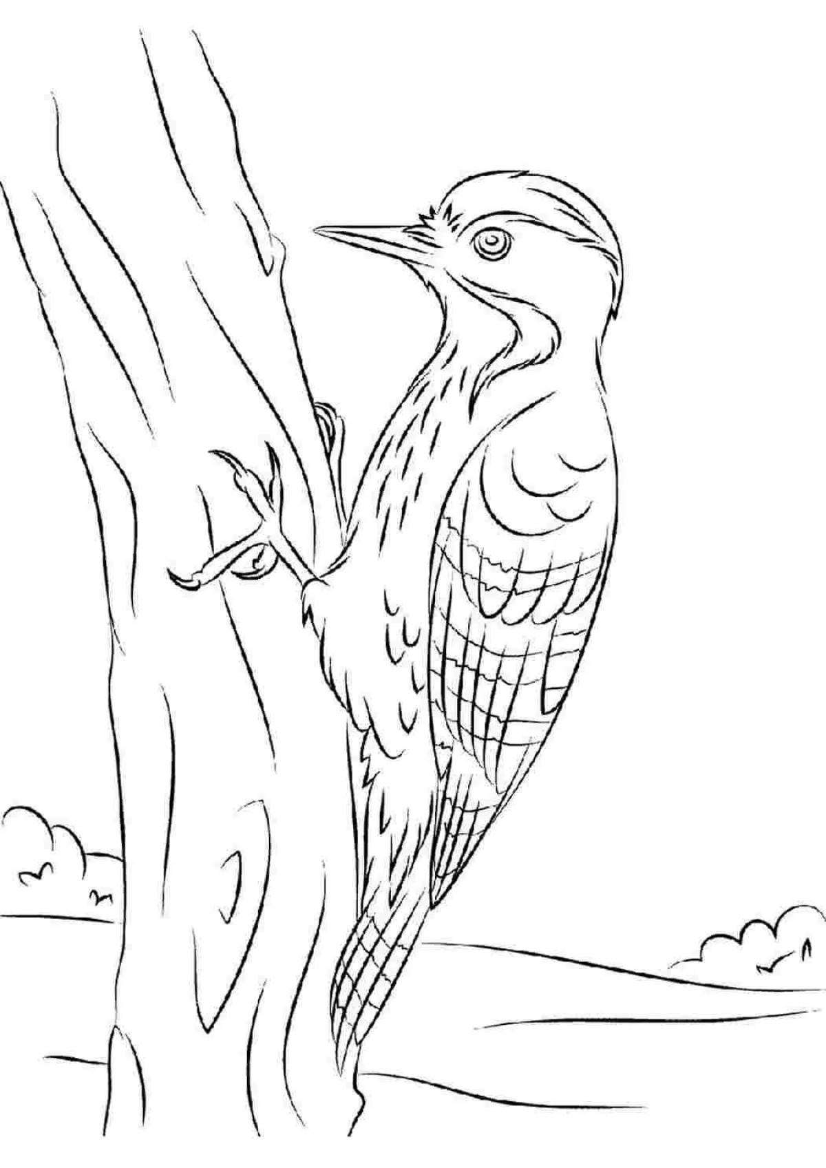 Coloring amazing figurine woodpecker