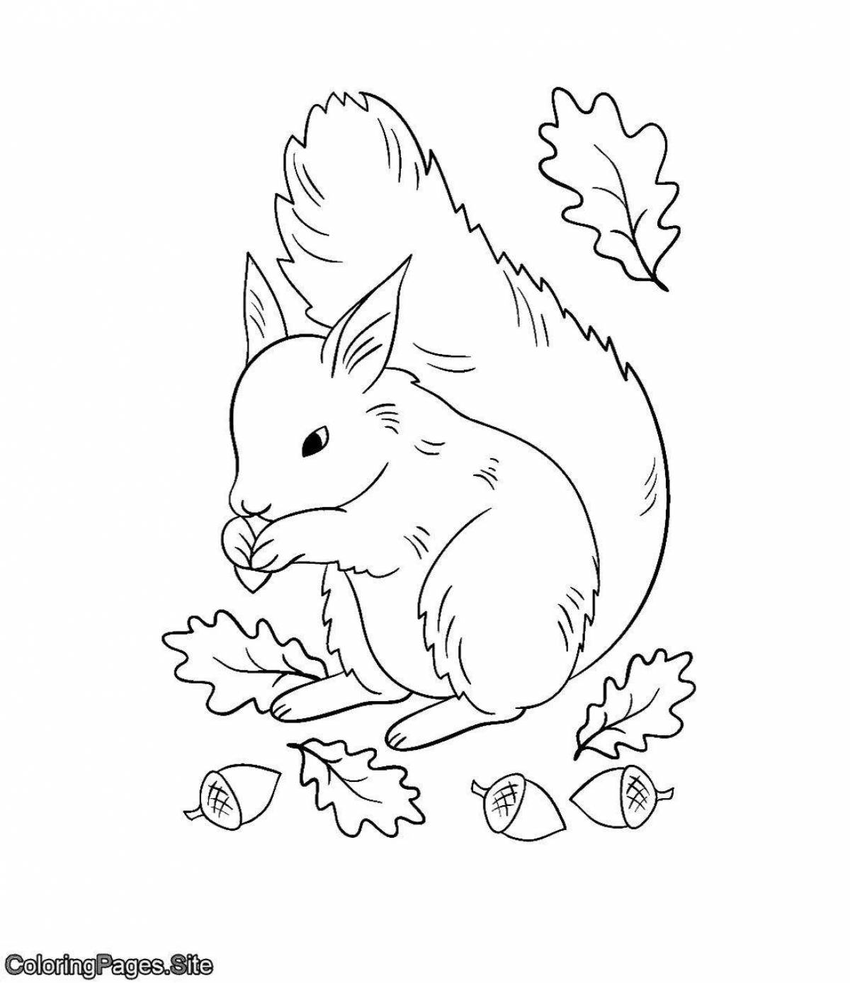 Photo Live little squirrel coloring book