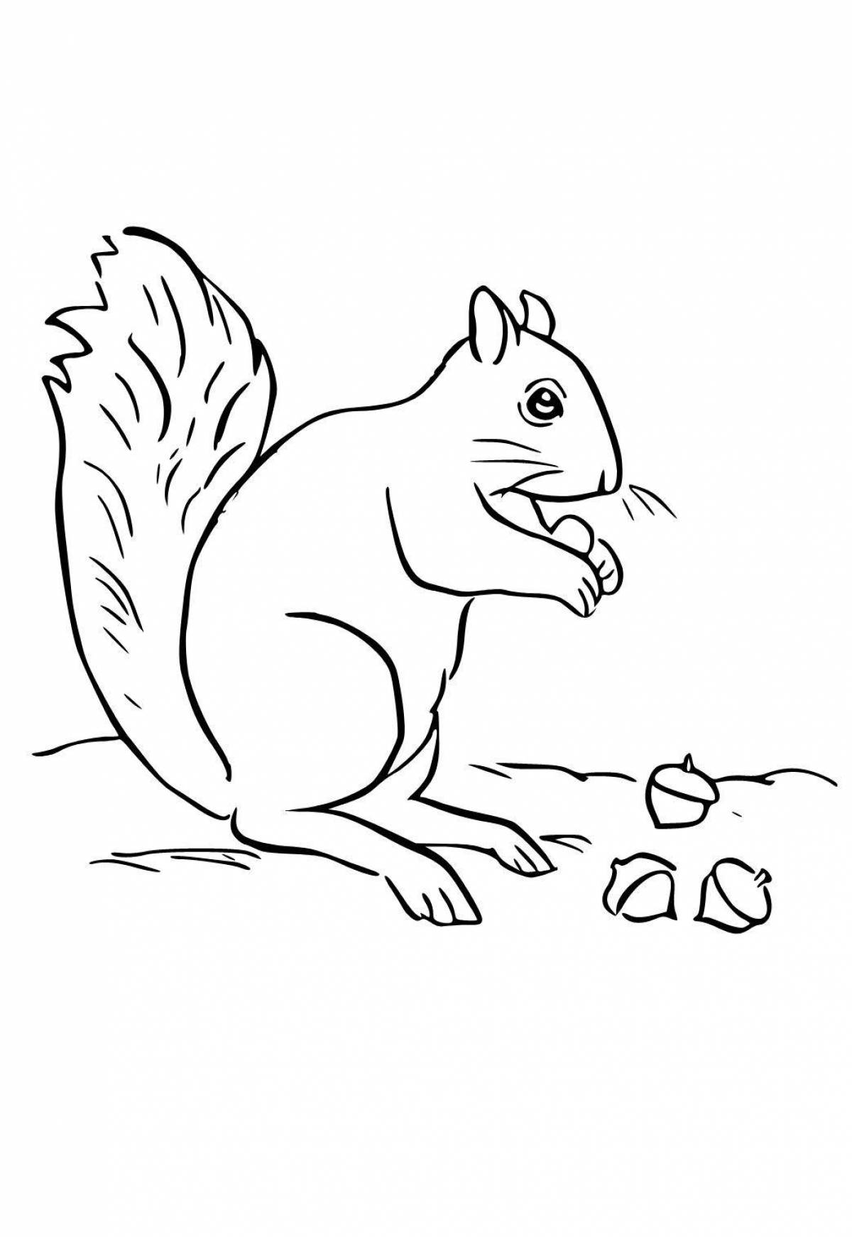 Coloring page wild little squirrel