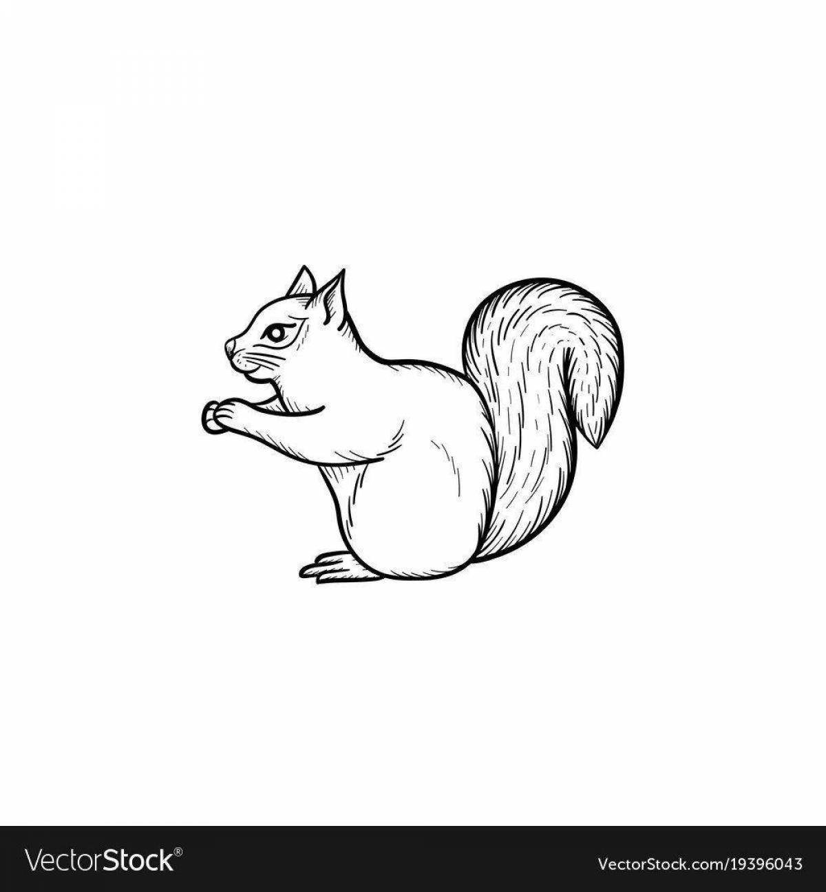 Coloring page energetic little squirrel