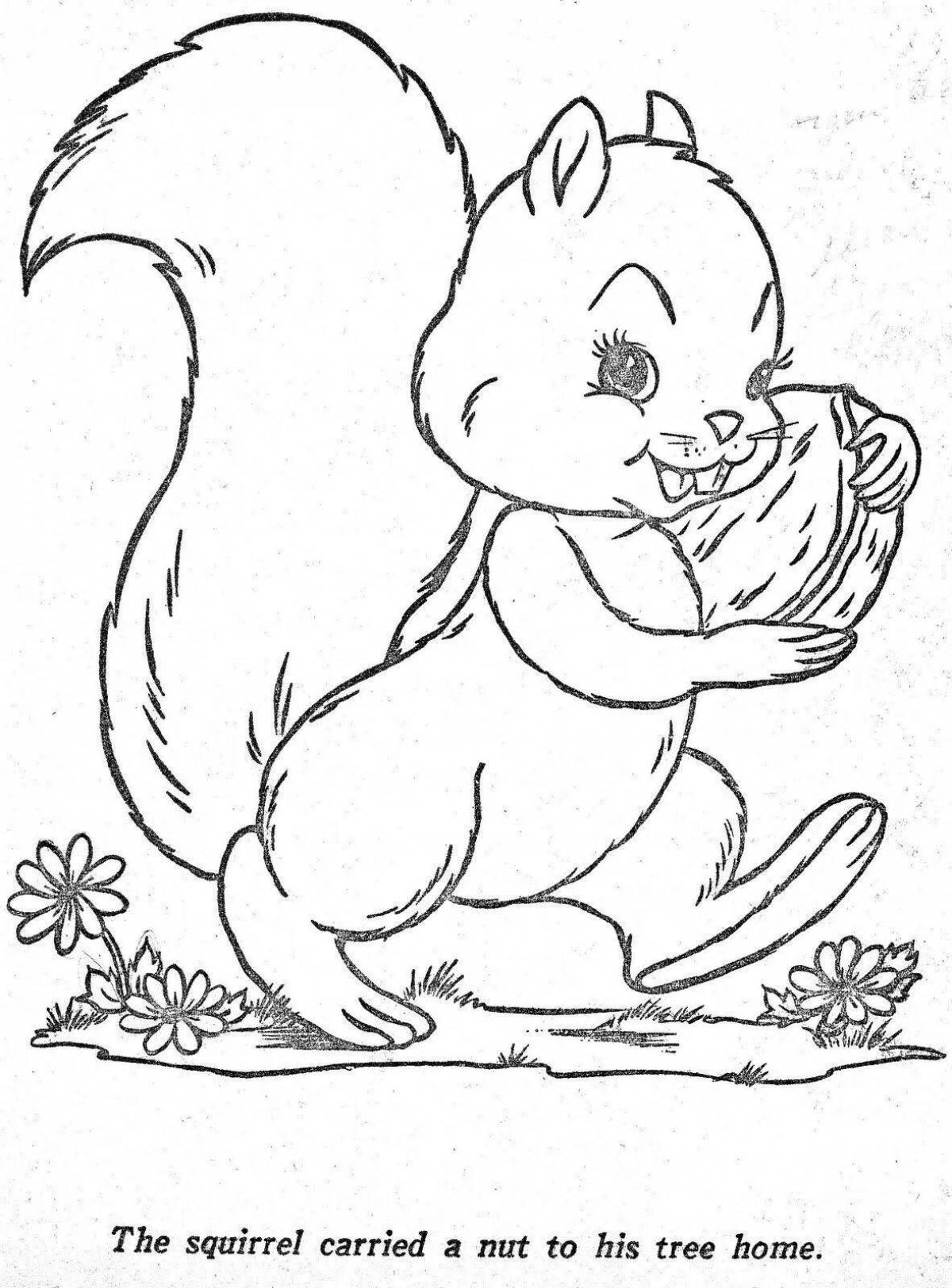 Photo Colouring energetic squirrel