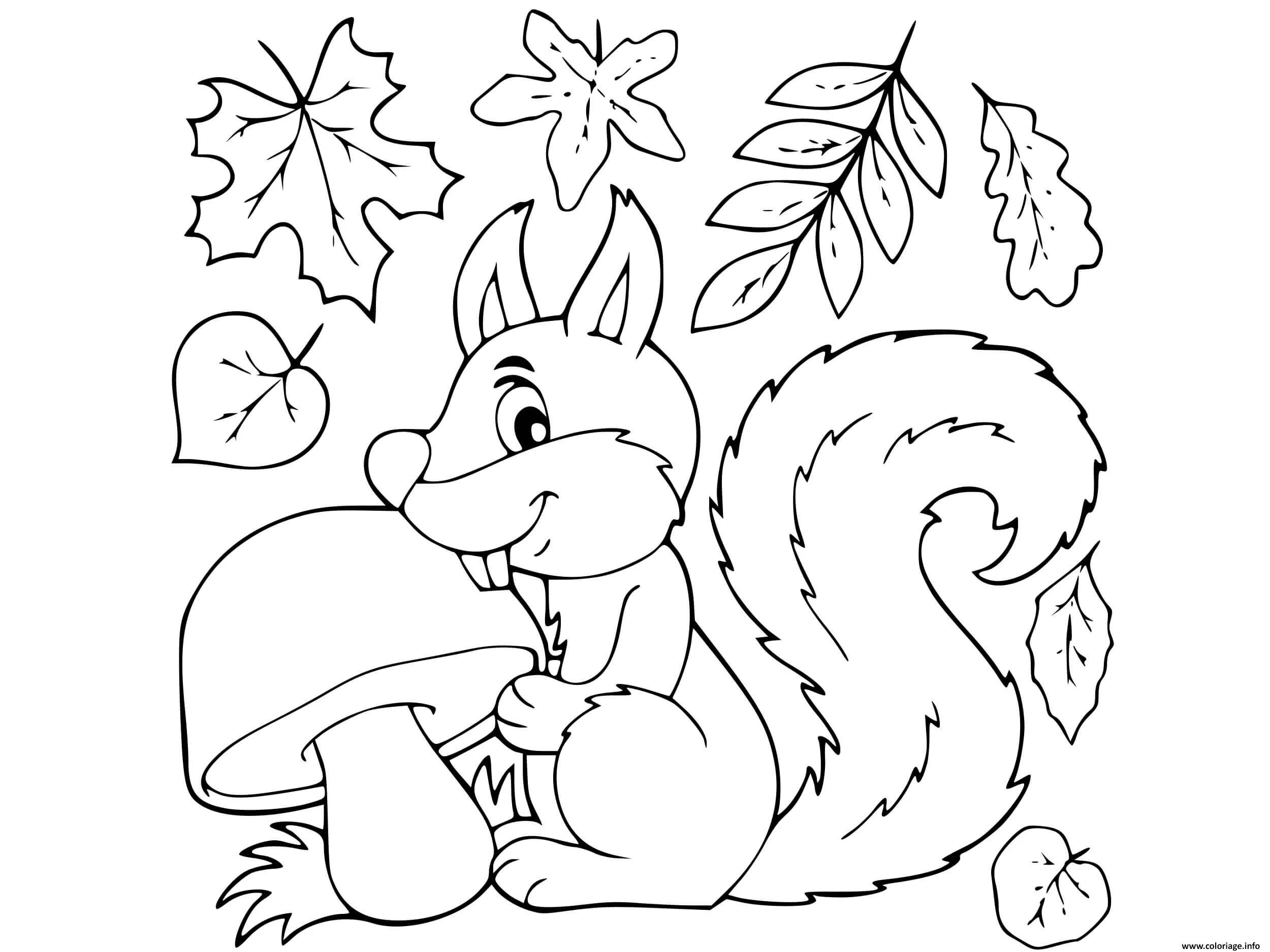 Coloring page charming squirrel