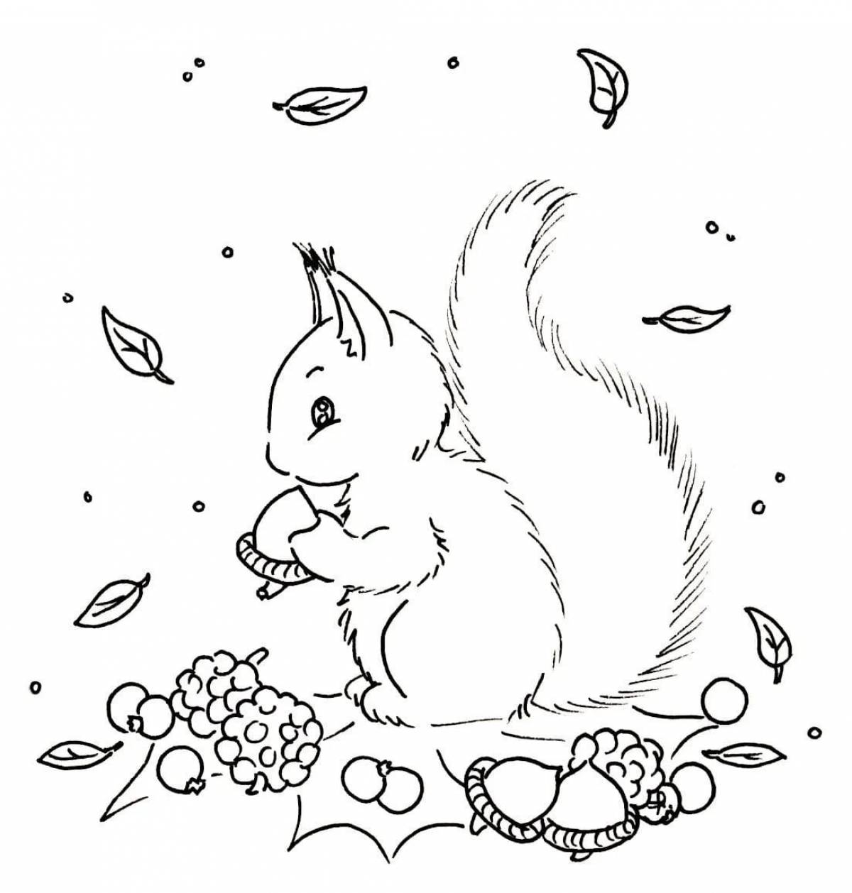 Funny squirrel coloring book