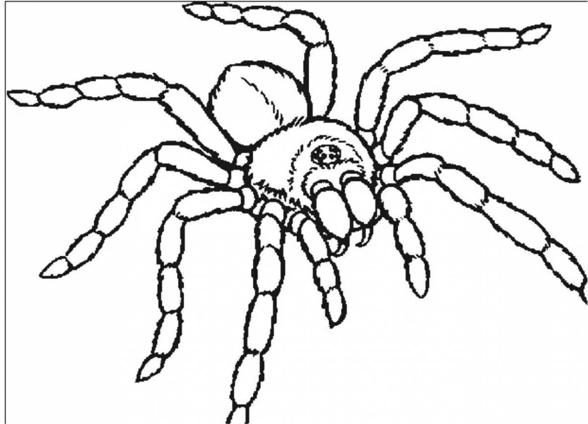 Coloring book bright spider tarantula