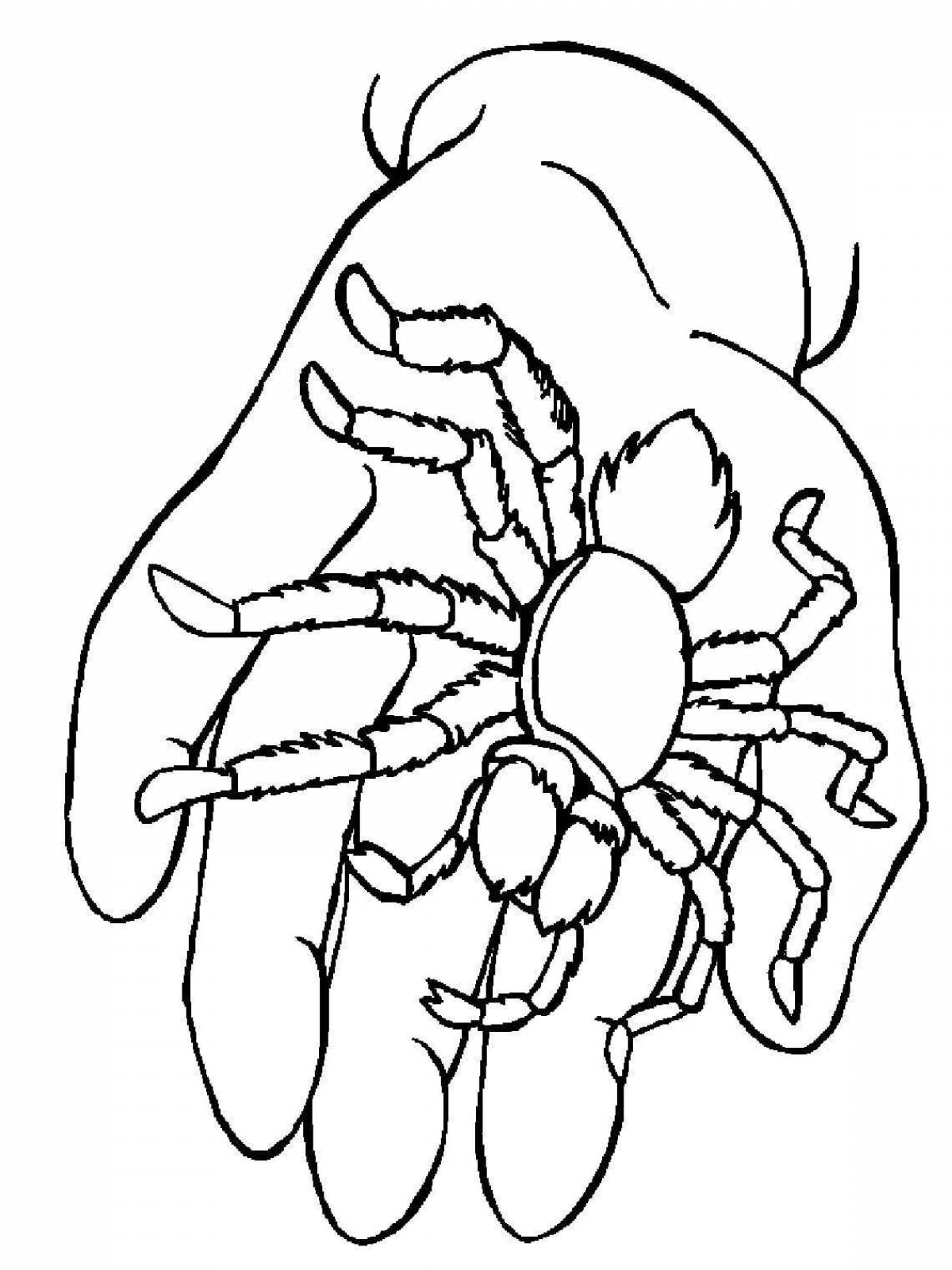 Очаровательный паук тарантул раскраска