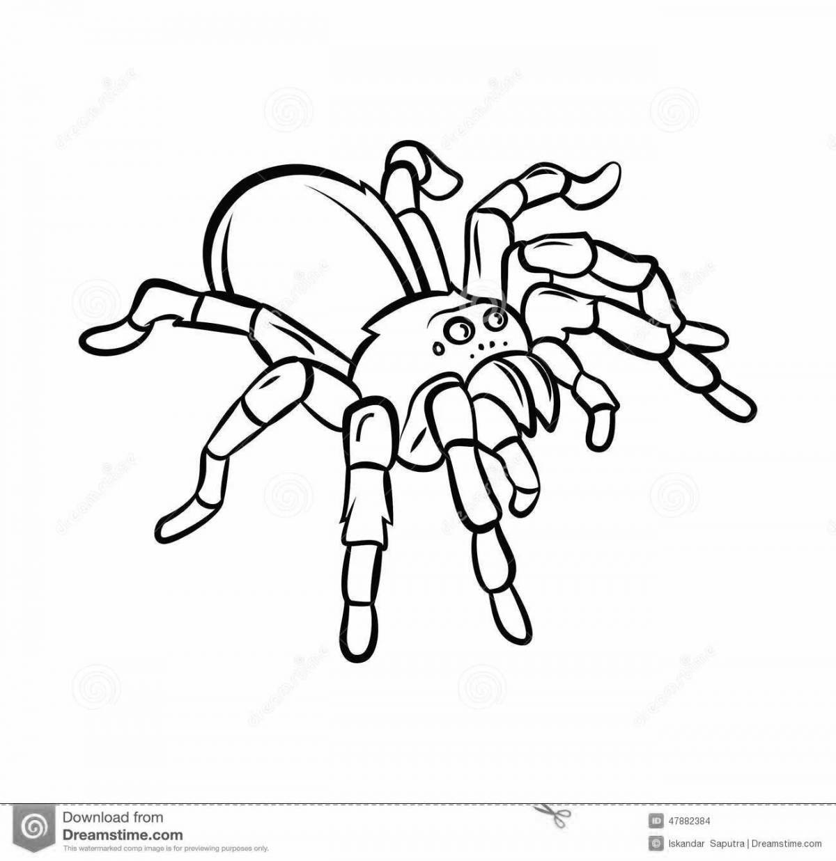Потрясающая страница раскраски паука тарантула