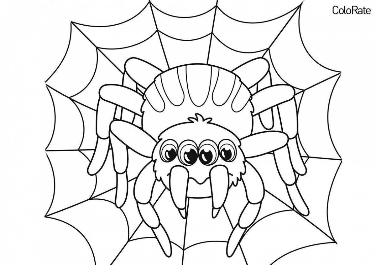 Coloring page nice spider tarantula